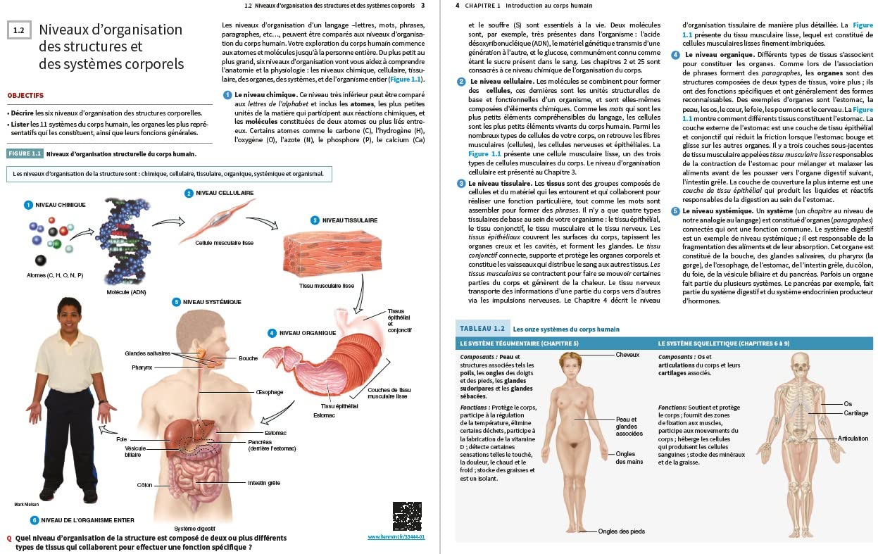 Anatomie et physiologie humaines