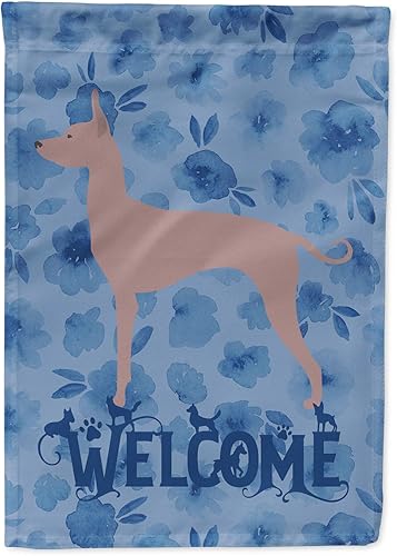 Caroline's Treasures CK6194GF Dogo Argentino - Bandera de bienvenida para jardín, tamaño de jardín, multicolor