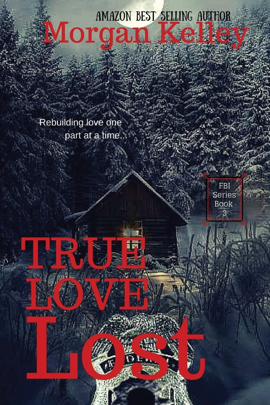True Love Lost: An FBI Thriller: Volume 3 (An FBI Romance/Thriller)