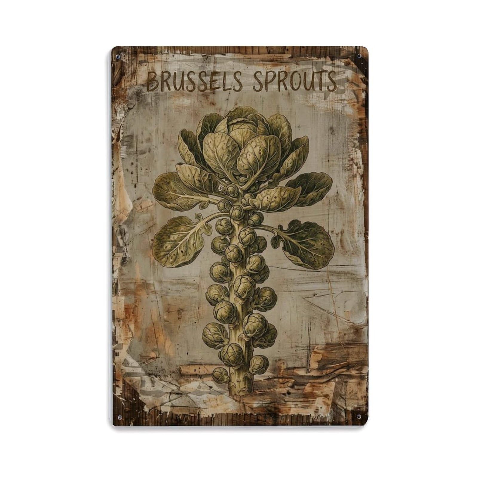 Brussels Sprouts Vegetable Vintage Metal Tin Sign Plaque Wall Decor for Cafe, Club, Garden Metal Poster 8x12Inch