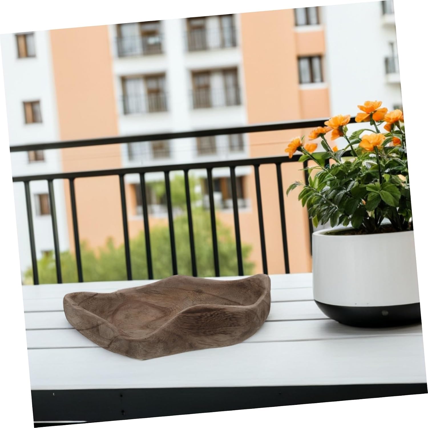 Wooden Butterfly Puddler Bowl for Outdoor Garden Hummingbirds