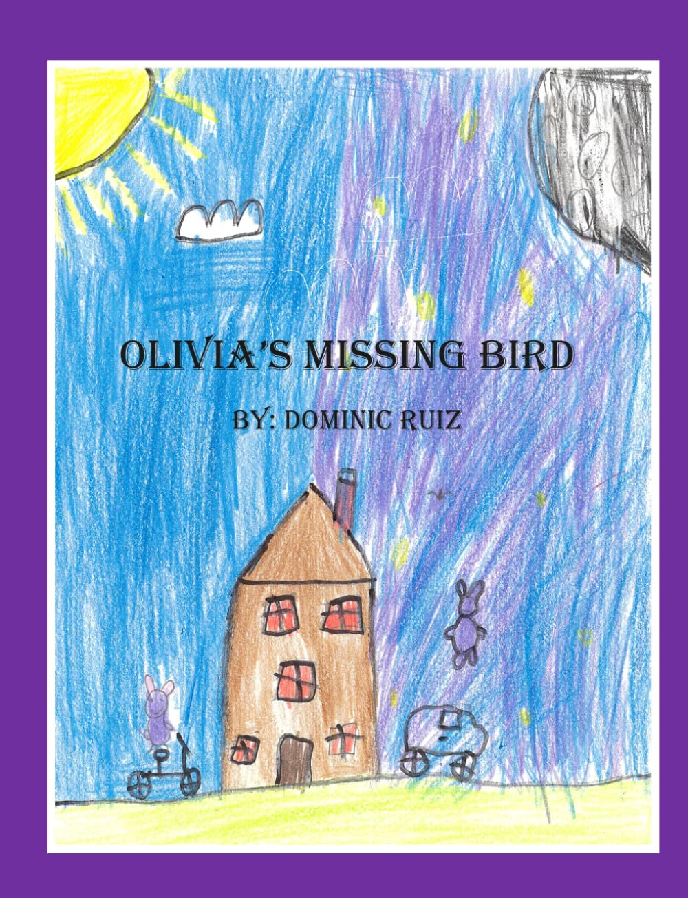 Olivia's Missing Bird