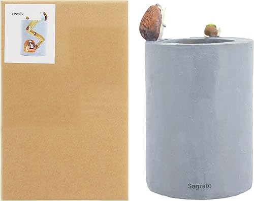 Vista 31 de Segreto - Macetas creativas para plantas suculentas, contenedor de pinceles, decorativas para escritorio, jardín, sala Familia de fuentes Hedgehog