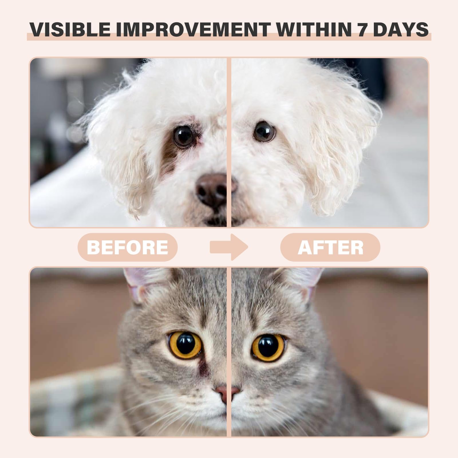 Oivolii Pet Tear Stain Remover Balm with Pro Powder Brush,Eye Care for Dogs and Cats Natural Safe Repel Tears,Gently Cleanses Effective & Non-Irritating,30g - Image 3