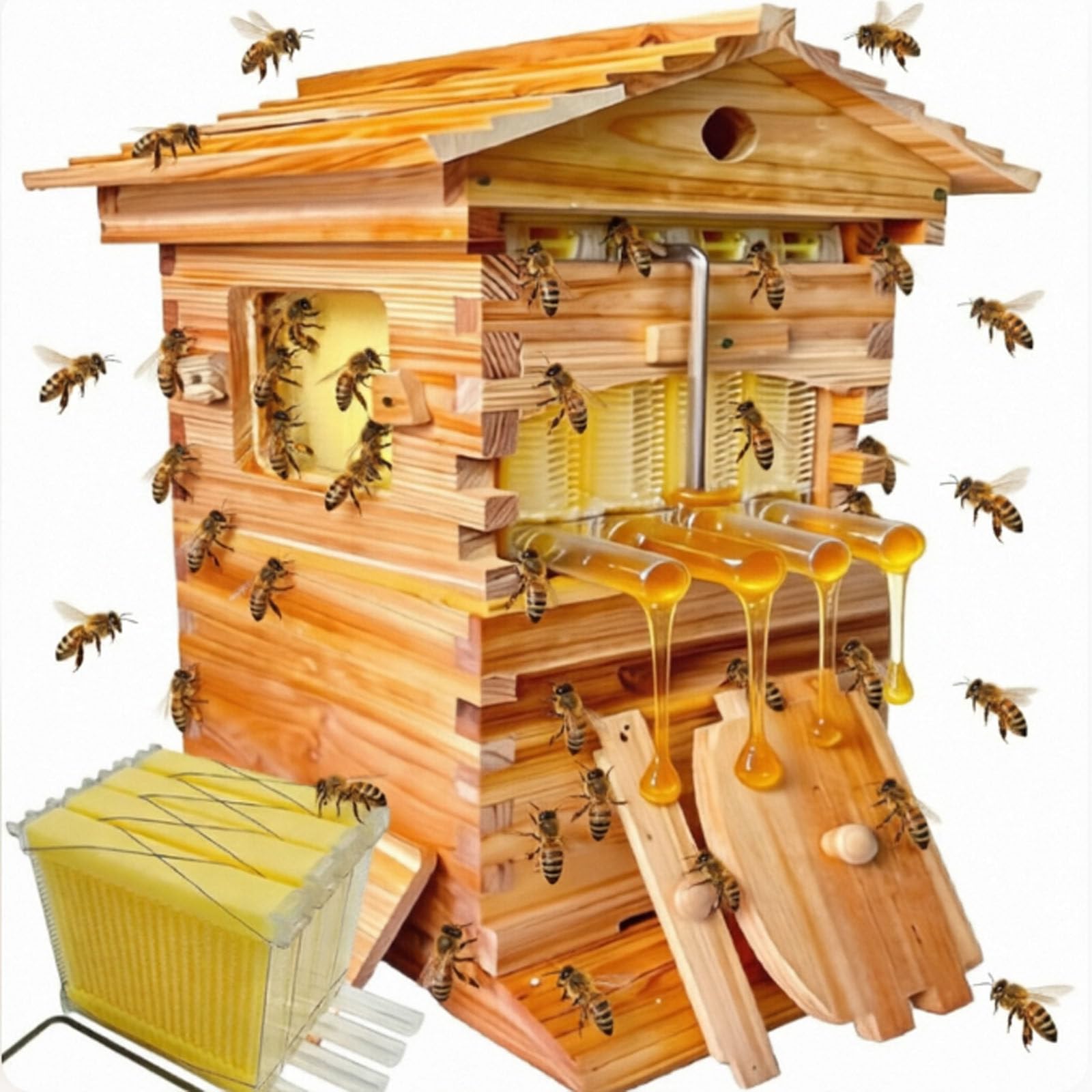 Kit Per Arnia In Legno, Arnia Autoportante, Arnia Autoportante 4spleens | Kit Di Avviamento Completo, Finestra Di Visualizzazione Trasparente, Abete Rivestito Di Cera, Raccolta