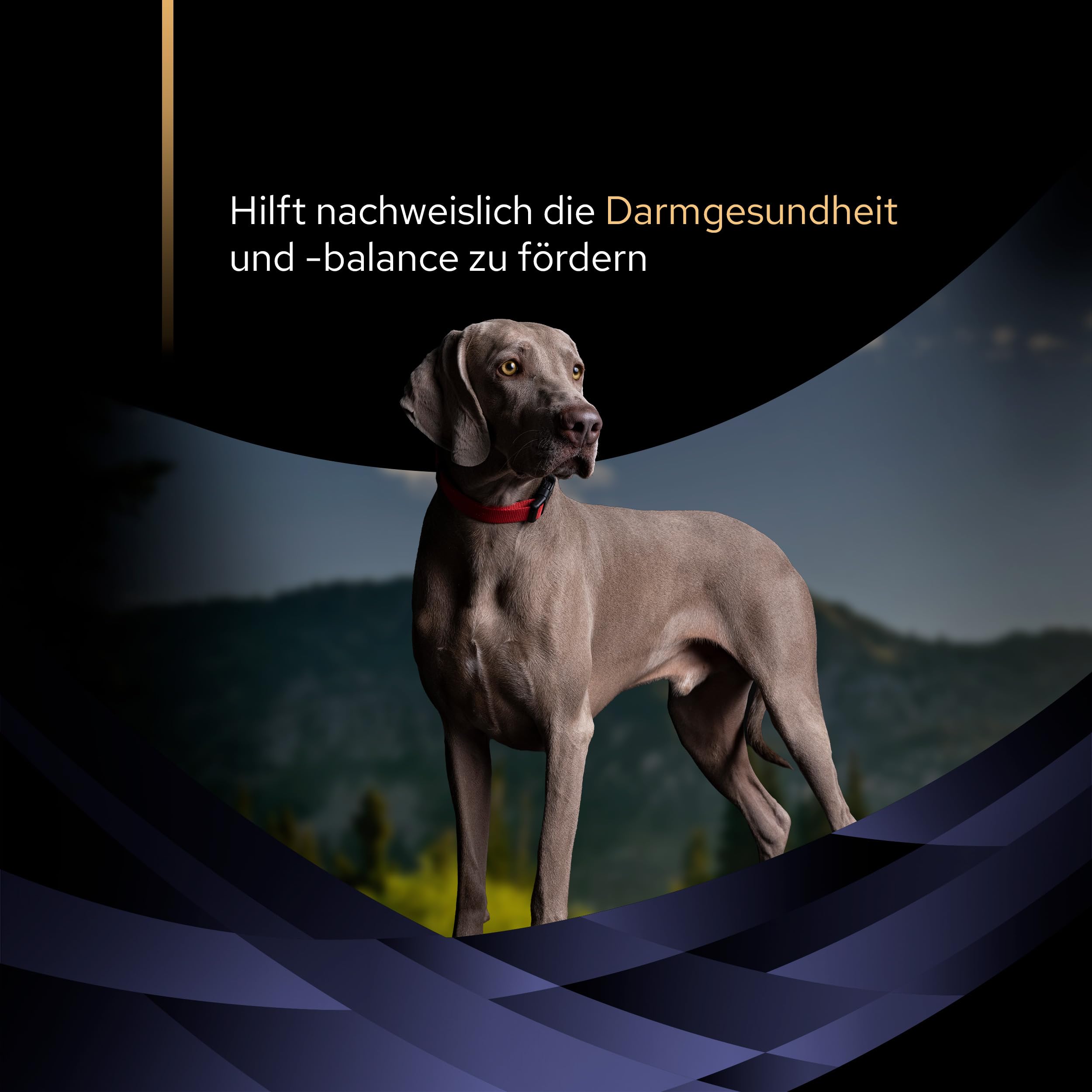 Pro Plan Forti Flora, Ergänzungsfuttermittel für Hunde zur Unterstützung der Darmgesundheit, Mit Probiotika, 30x1g