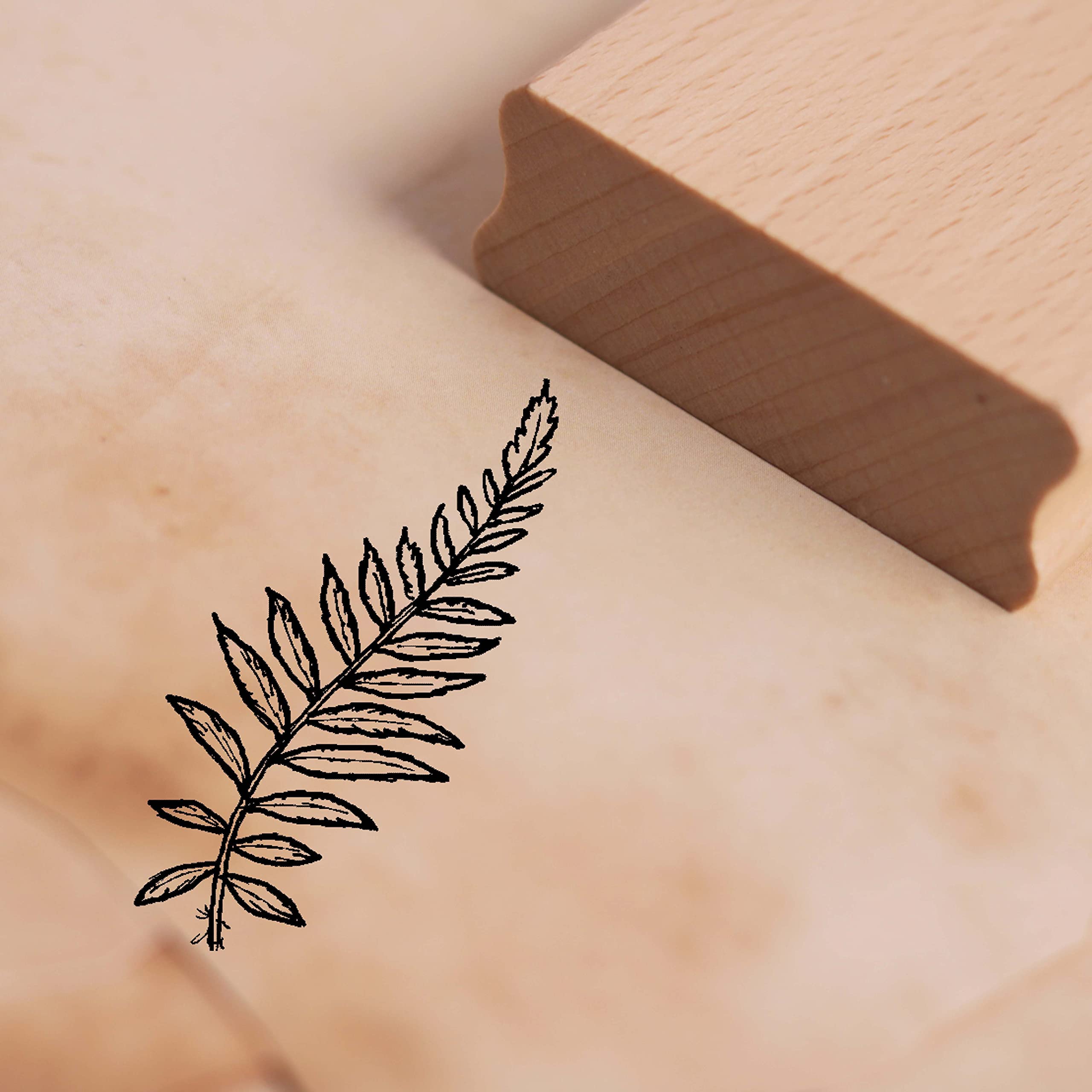 Stempel Farn - Motivstempel ca. 36 x 48 mm : Amazon.de: Kche, Haushalt &  Wohnen