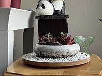 Review Image by Joshua Joshua