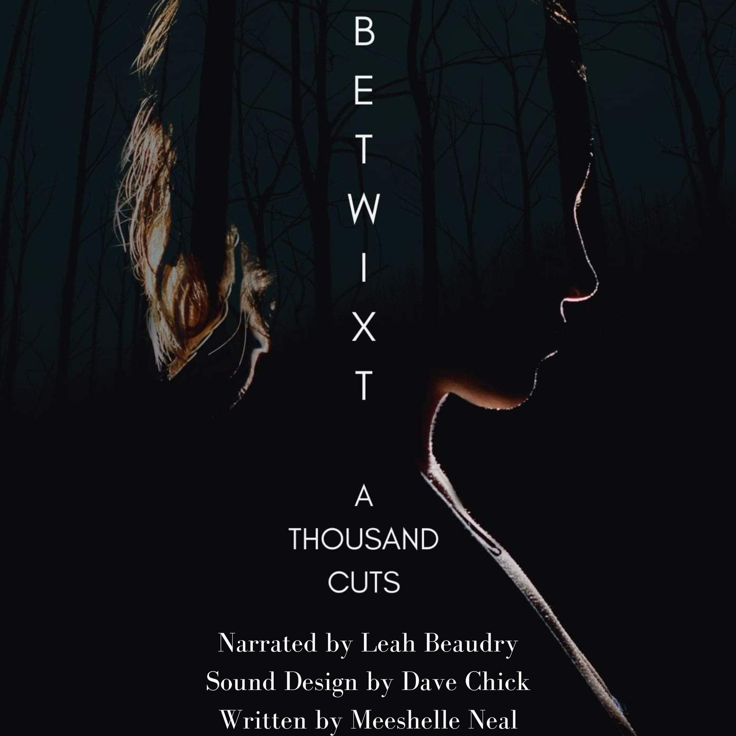 Cover art for Betwixt: A Thousand Cuts