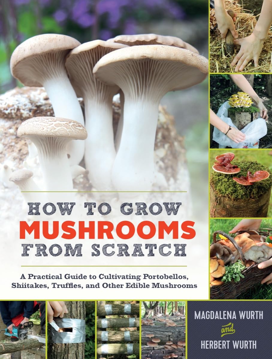 Buy How to Grow Mushrooms from Scratch — BookShops.in