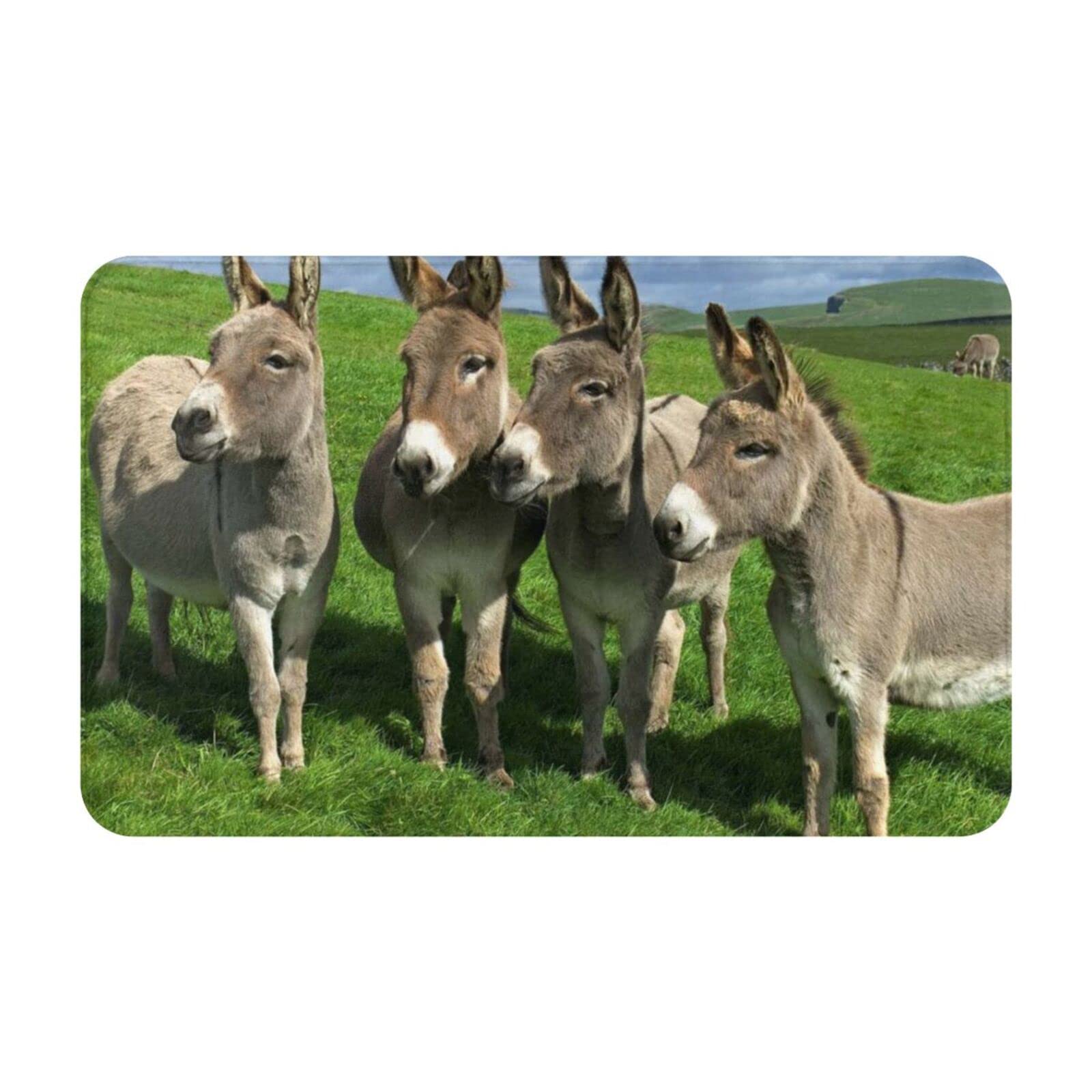 DANLIM Modern Minimalist Donkey On Green Meadow 20x31.5in White Animal Doormat, 1cm Thick, Indoor/Outdoor, Water Resistant, Non-Slip, Machine Made, Polyester, 50.8x79.4cm, 1pc