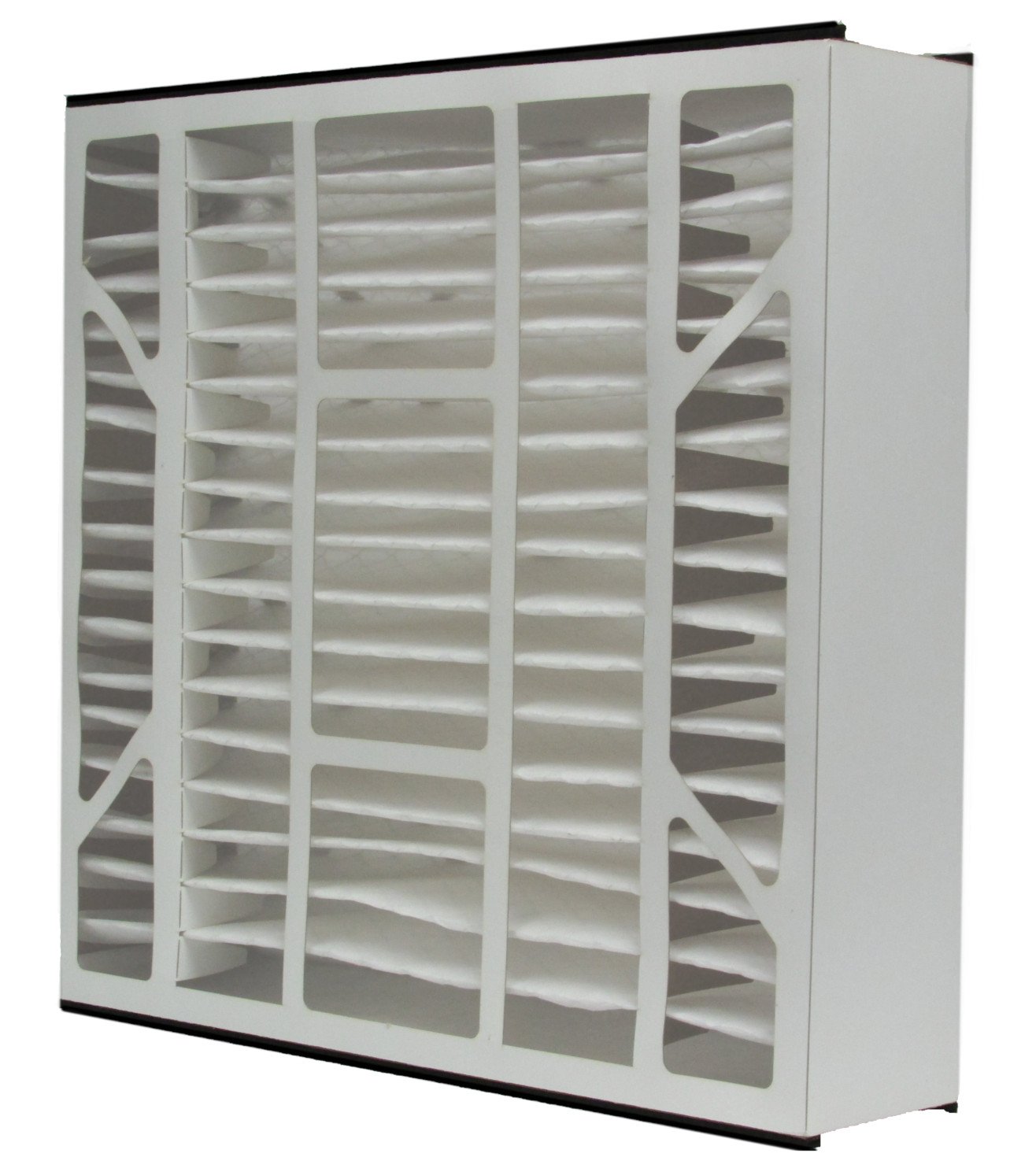 Trion Air Bear Filter 259112103 MERV 11 (20x20x5") 2pack Amazon.ca