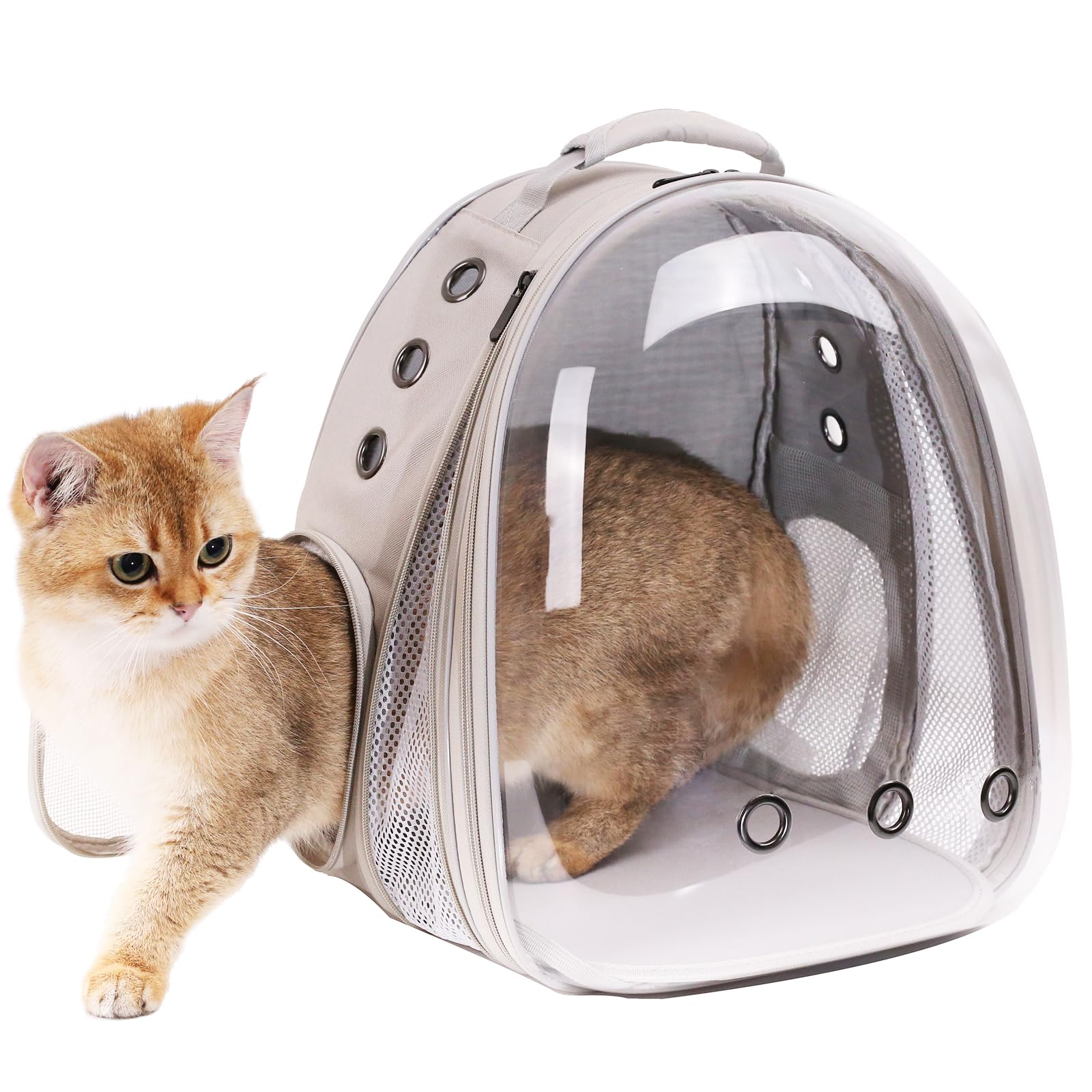Mochila frontal expandible para gatos, apto para hasta 20 libras, mochila espacial con ventana de burbujas para mascotas para gatos grandes y cachorros pequeños