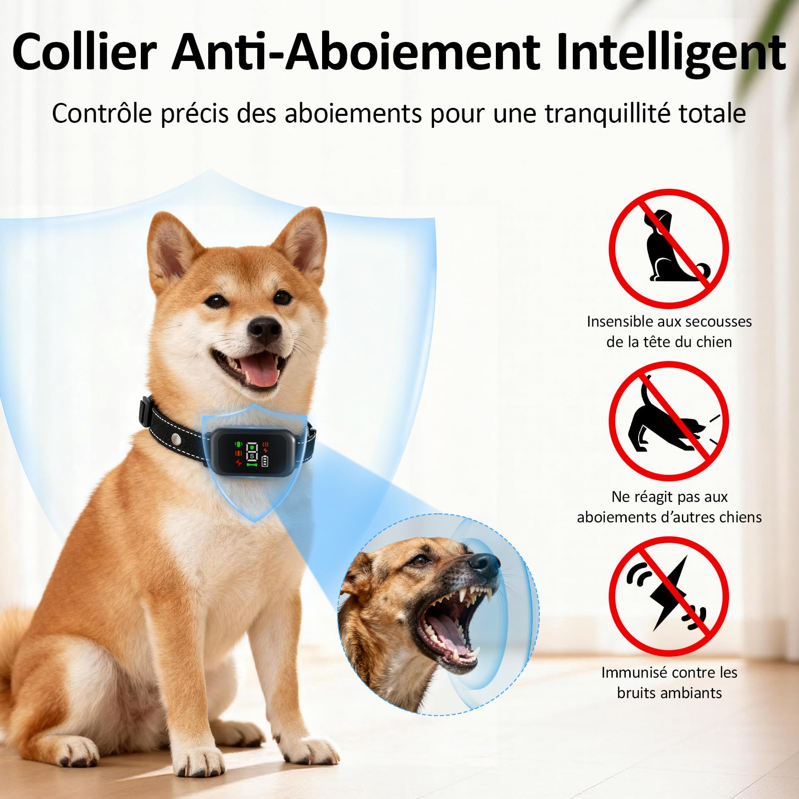 Collare Antiabbaio per Cani