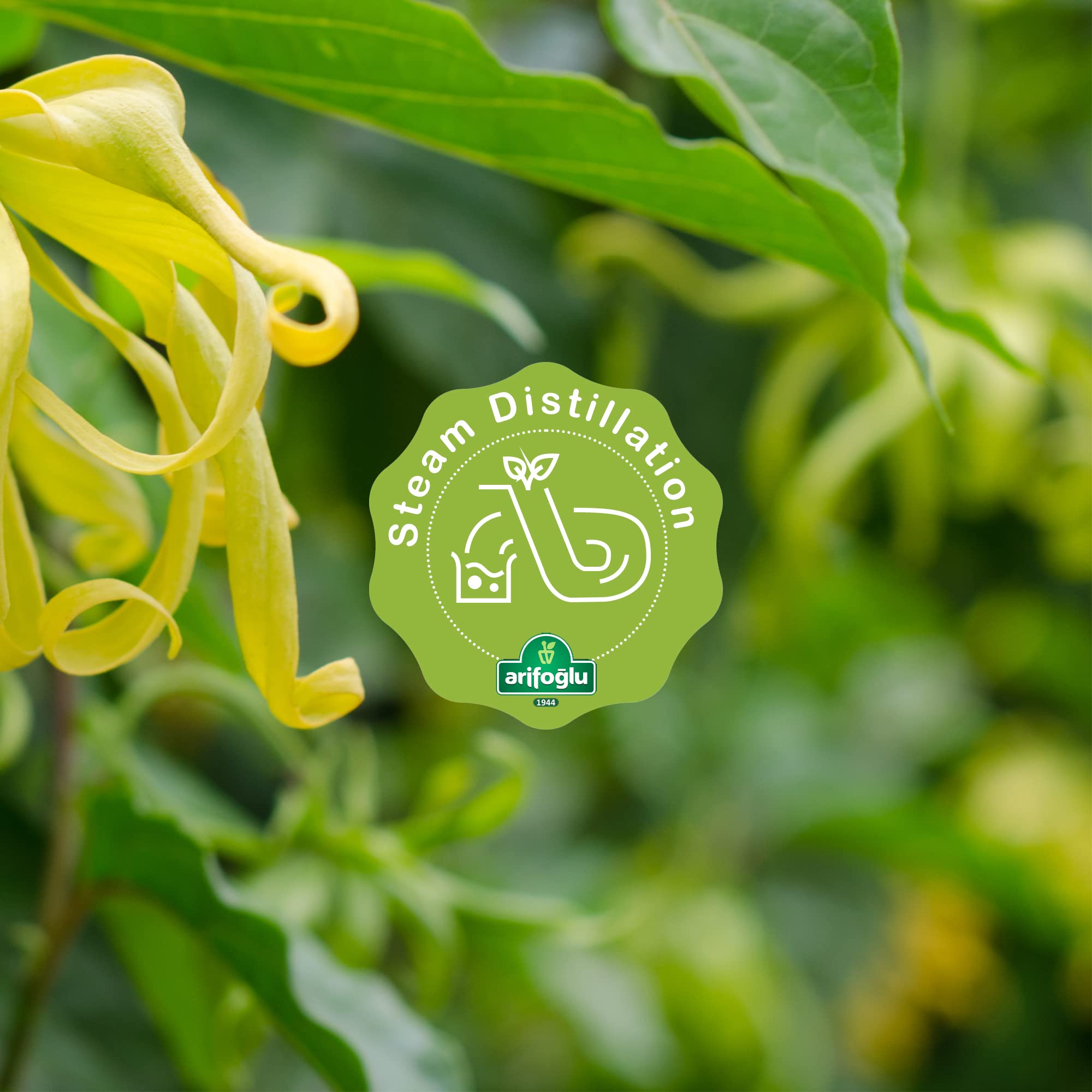 Arifoğlu Ylang Ylang Yağı 20 ML
