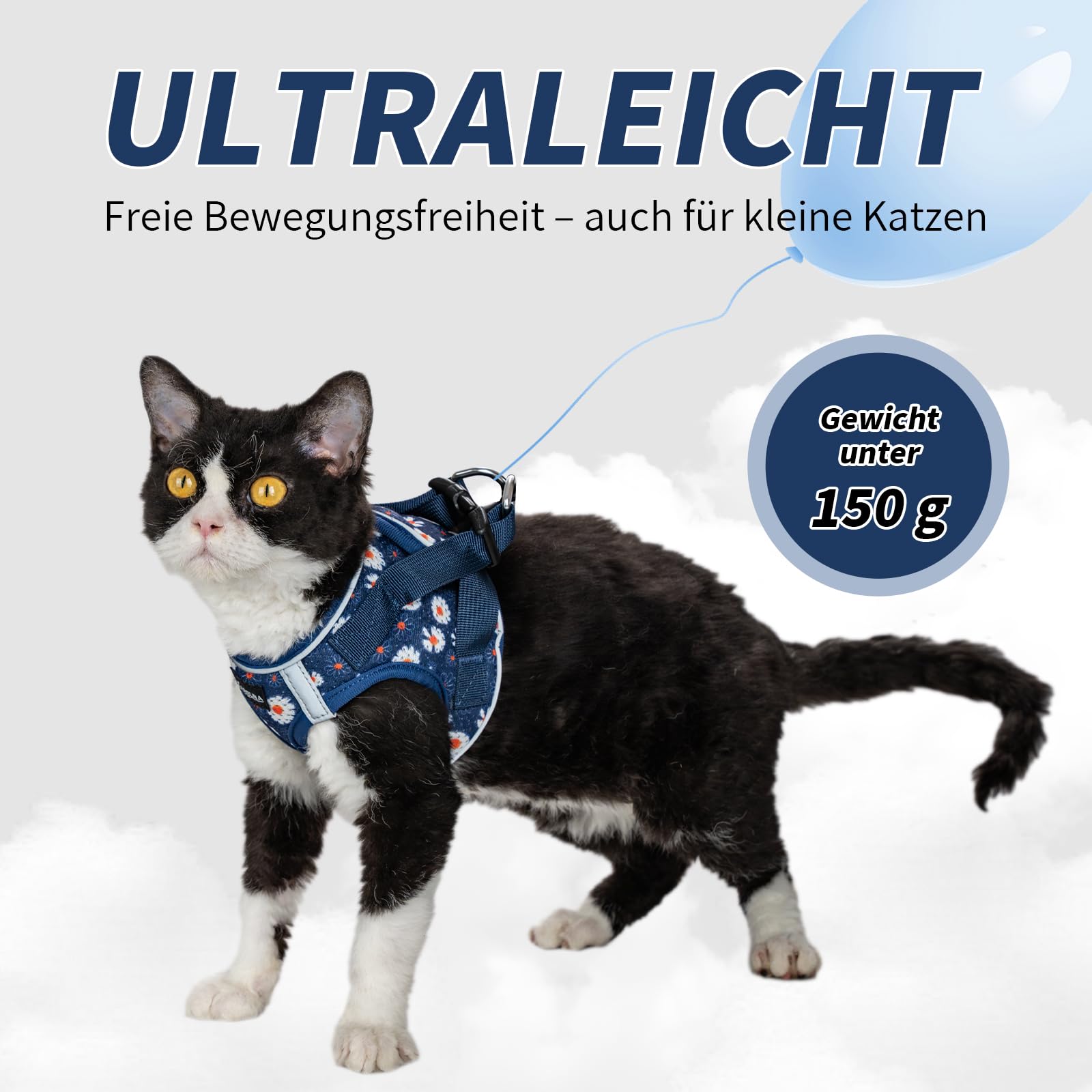 Arblina Katzengeschirr, Weich & Atmungsaktives Katzengeschirr-Set mit Reflex, Leichtes Katzengeschirr Ausbruchsicher mit 1,5m KatzenLeine, Blau S