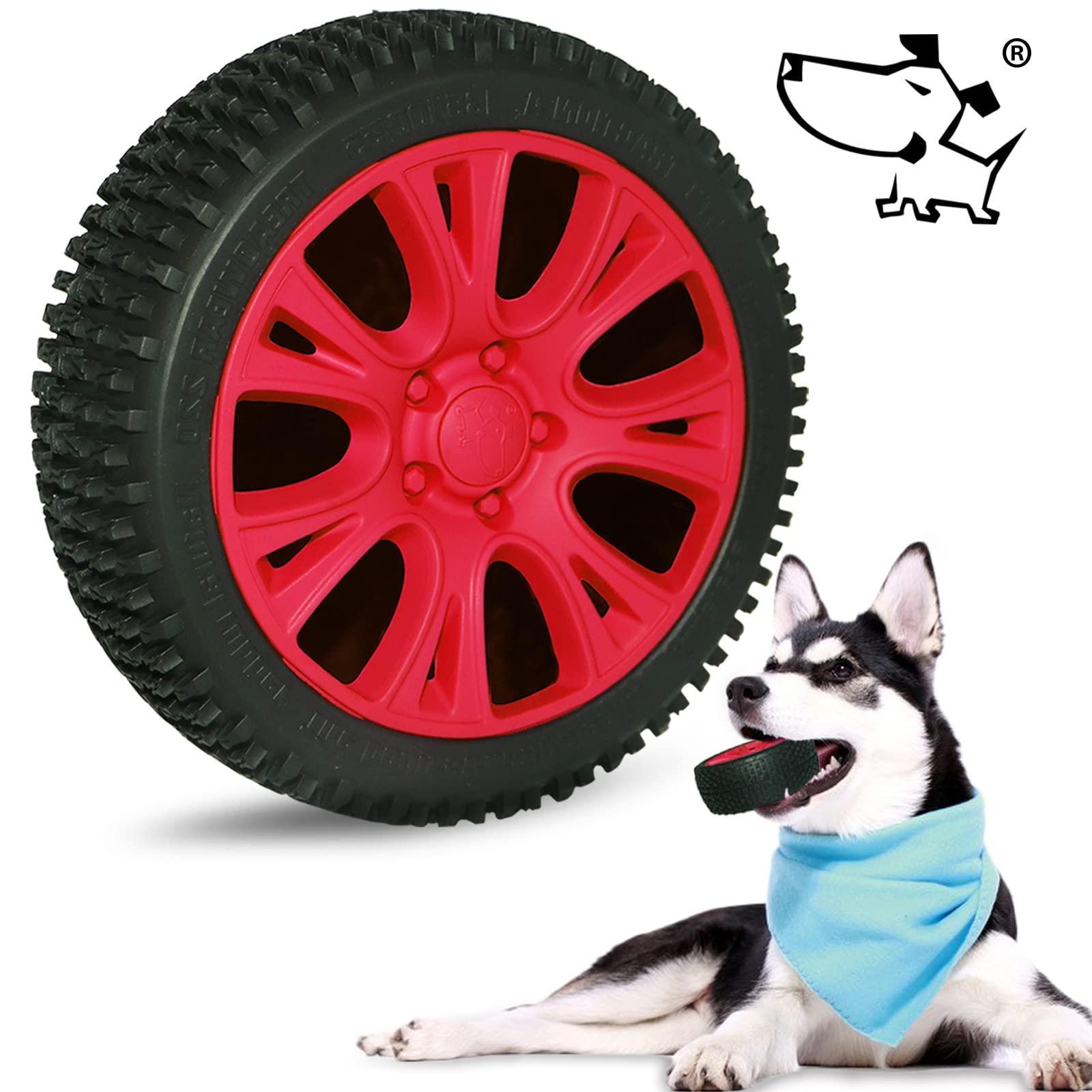 What Breed Of Dog Has The Largest Teeth