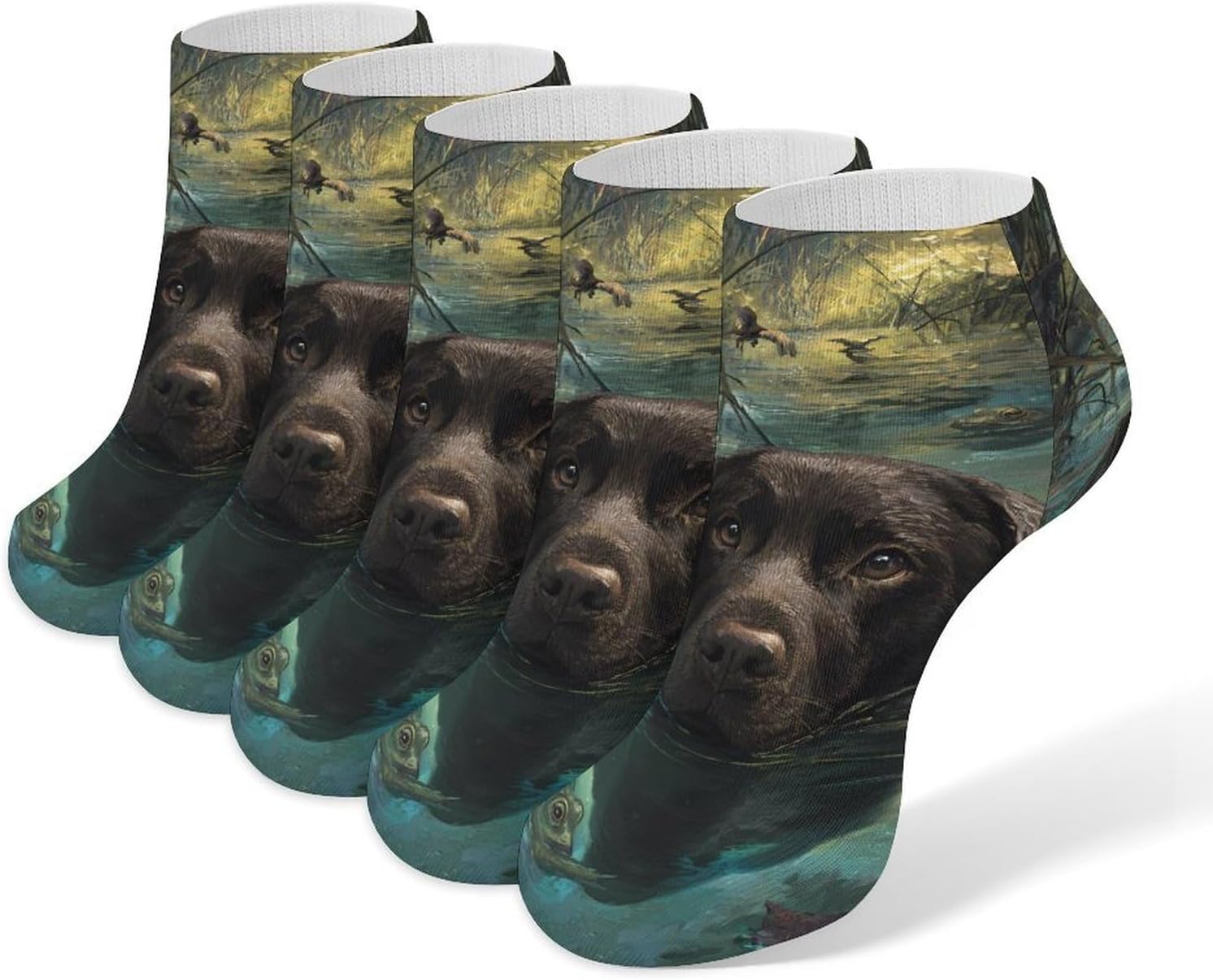 Labrador Dog Swimming Frogs Ponds No Show Ankle Socks Low Cut Non Slip Flat Boat Line 5 Pairs Set