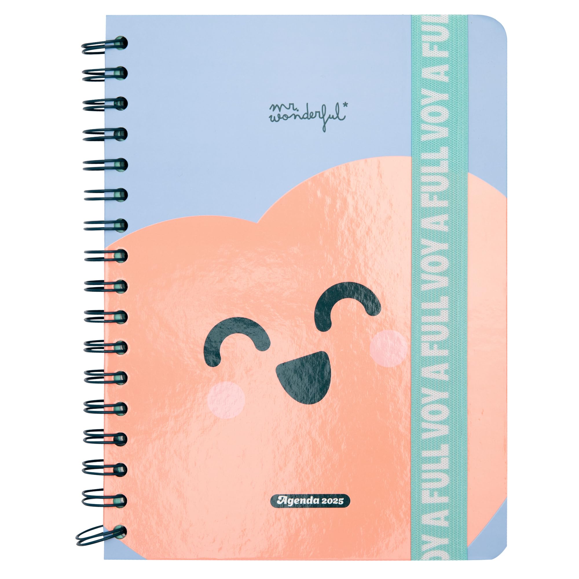 Mr. Wonderful - Wonder 2025 Weekly Planner - I'll Full - Includes 8 Sheets of Stickers and Sticky Notes with Shapes