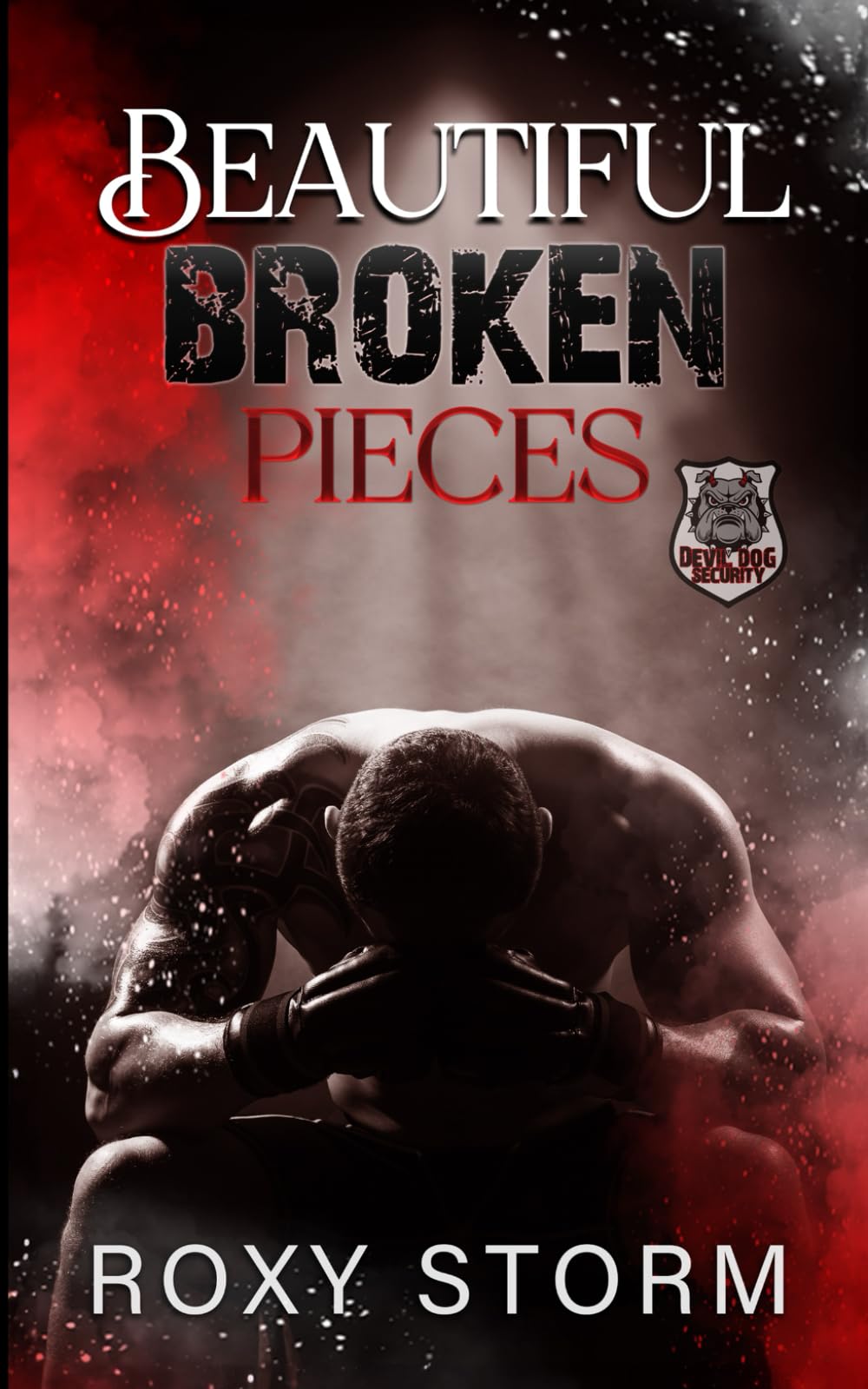 Beautiful Broken Pieces: 1 (Devil Dog Security)