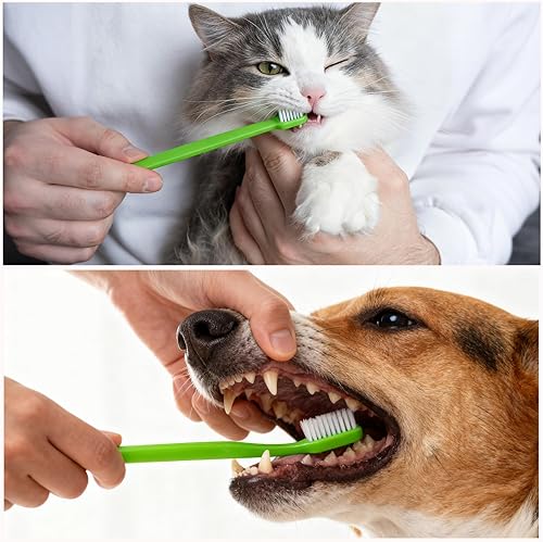 Miniatura 8 de Newday Juego de 8 cepillos de dientes para perros, de doble cabeza, higiene dental, práctico cepillo de dientes suave para limpiar los dientes de