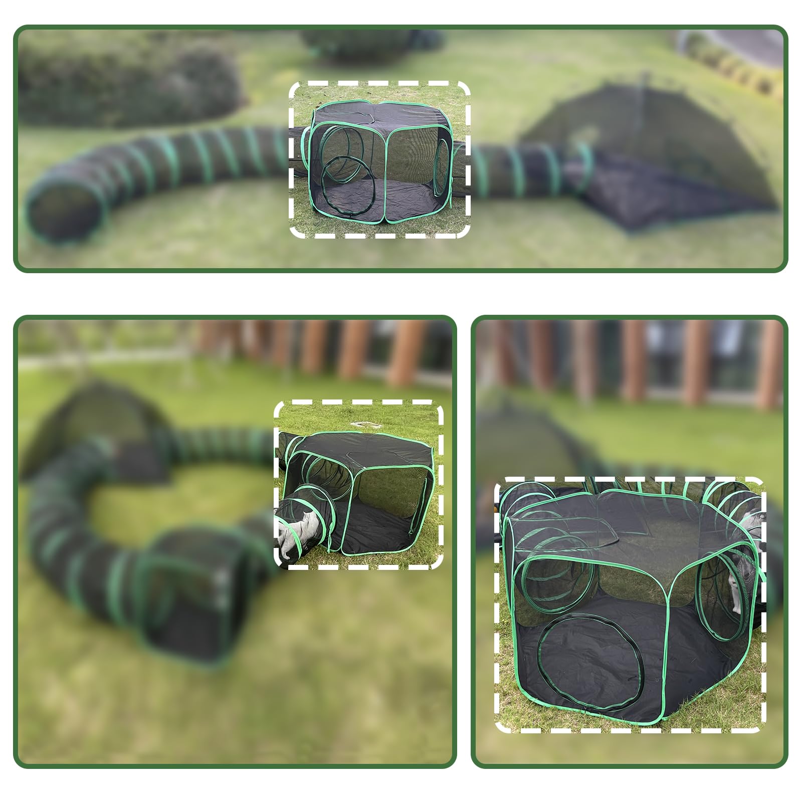 Pawtenda Accessorio per tenda per gatti, 1 tenda esagonale per gatti