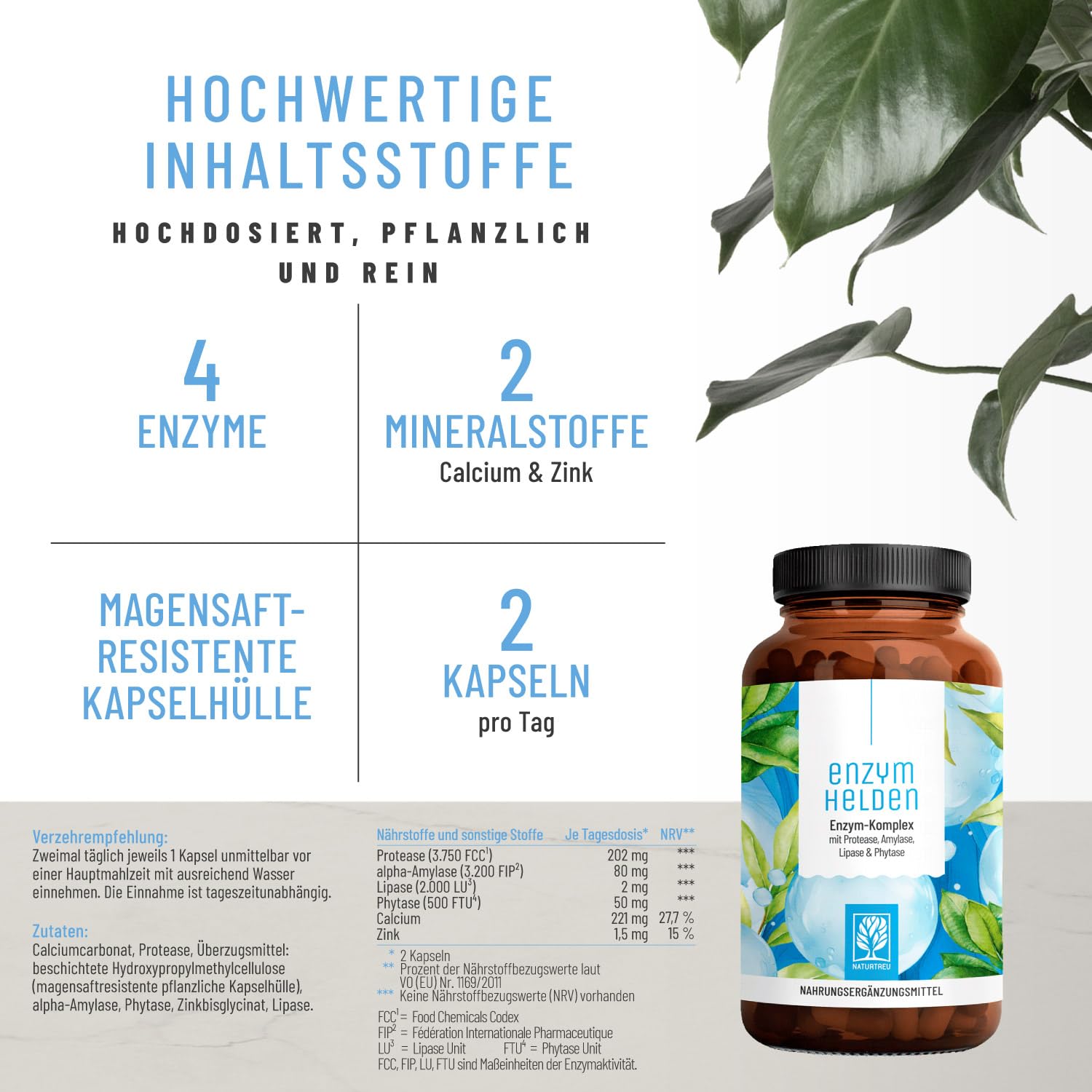 NATURTREU® Verdauungsenzyme (Digestive Enzyme) - Enzymhelden: Enzym Komplex mit Protease, α-Amylase & Lipase - 120 vegane Kapseln - in Deutschland produziert & laborgeprüft