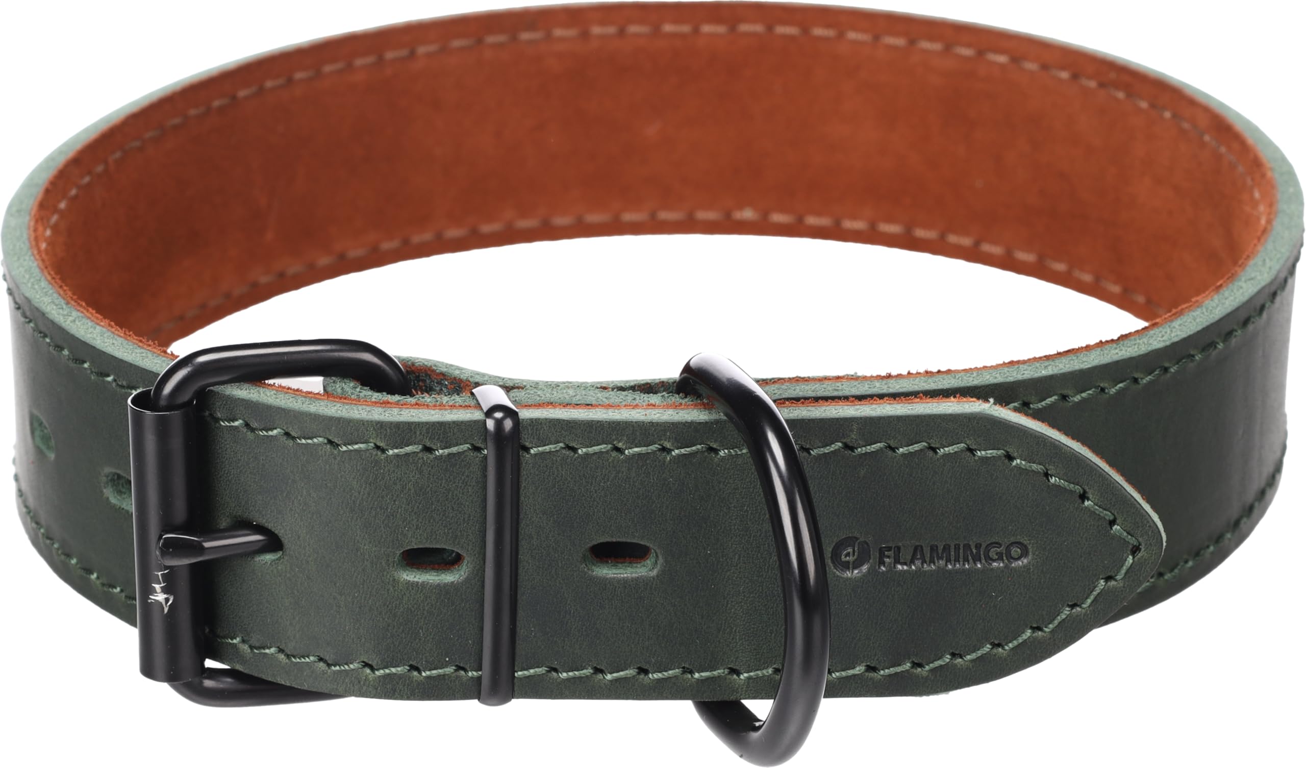 Collier Montana vert XXL 53-63cm pour grand chien qui tire sur la laisse