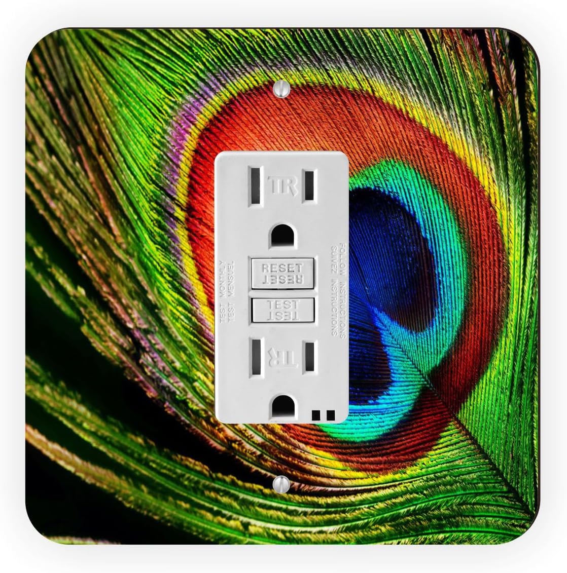 Purple Peacock -Light Switch Plate Cover - Double GFI Double Rocker - Two Gang Switch Plate Cover Switch Plate Cover