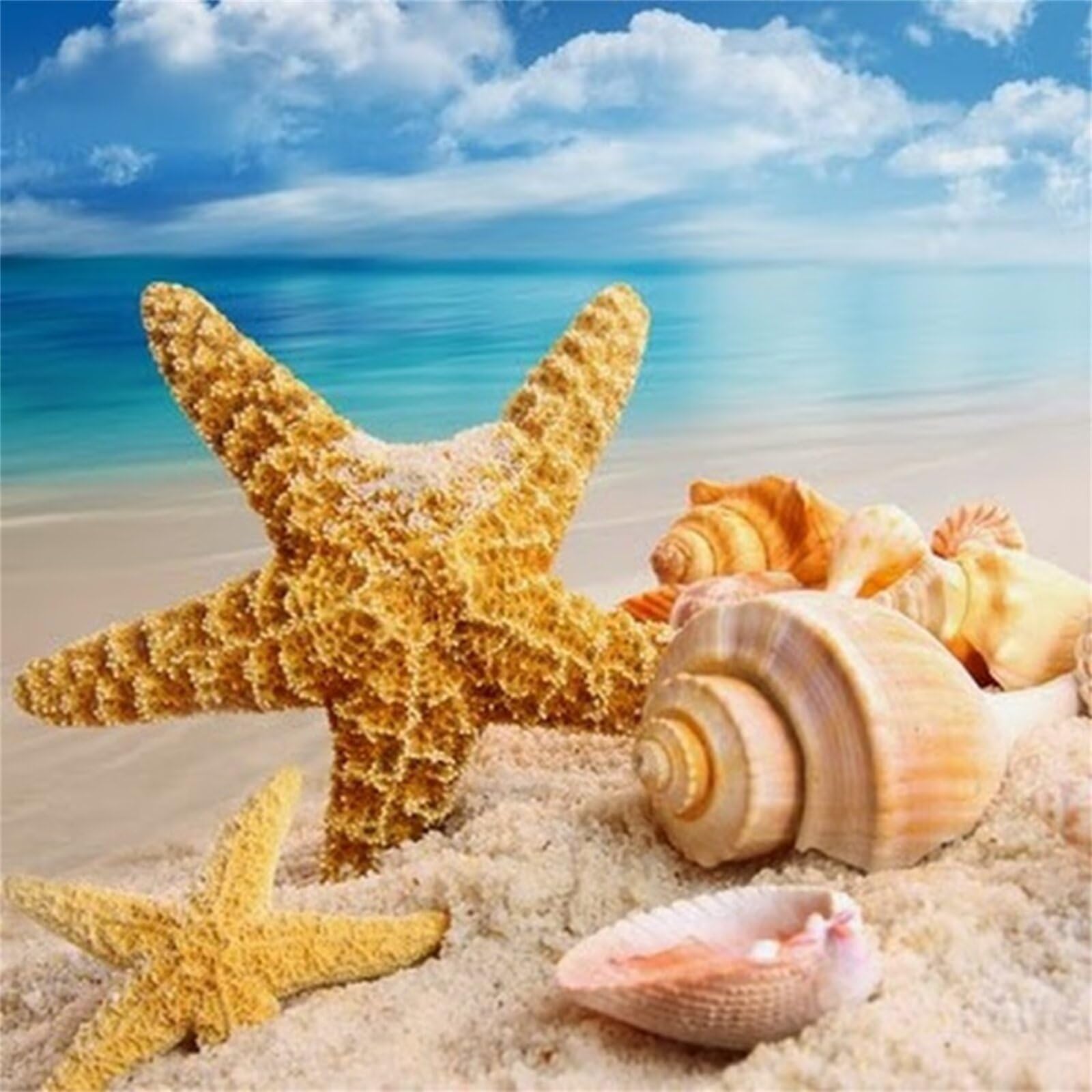 Puzzle 1000 elementów dla dorosłych, miseczki rozgwiazdy, klasyczne puzzle 65 x 65 cm, gra zręcznościowa dla całej rodziny, kolorowe układanie puzzli, dekoracja domu