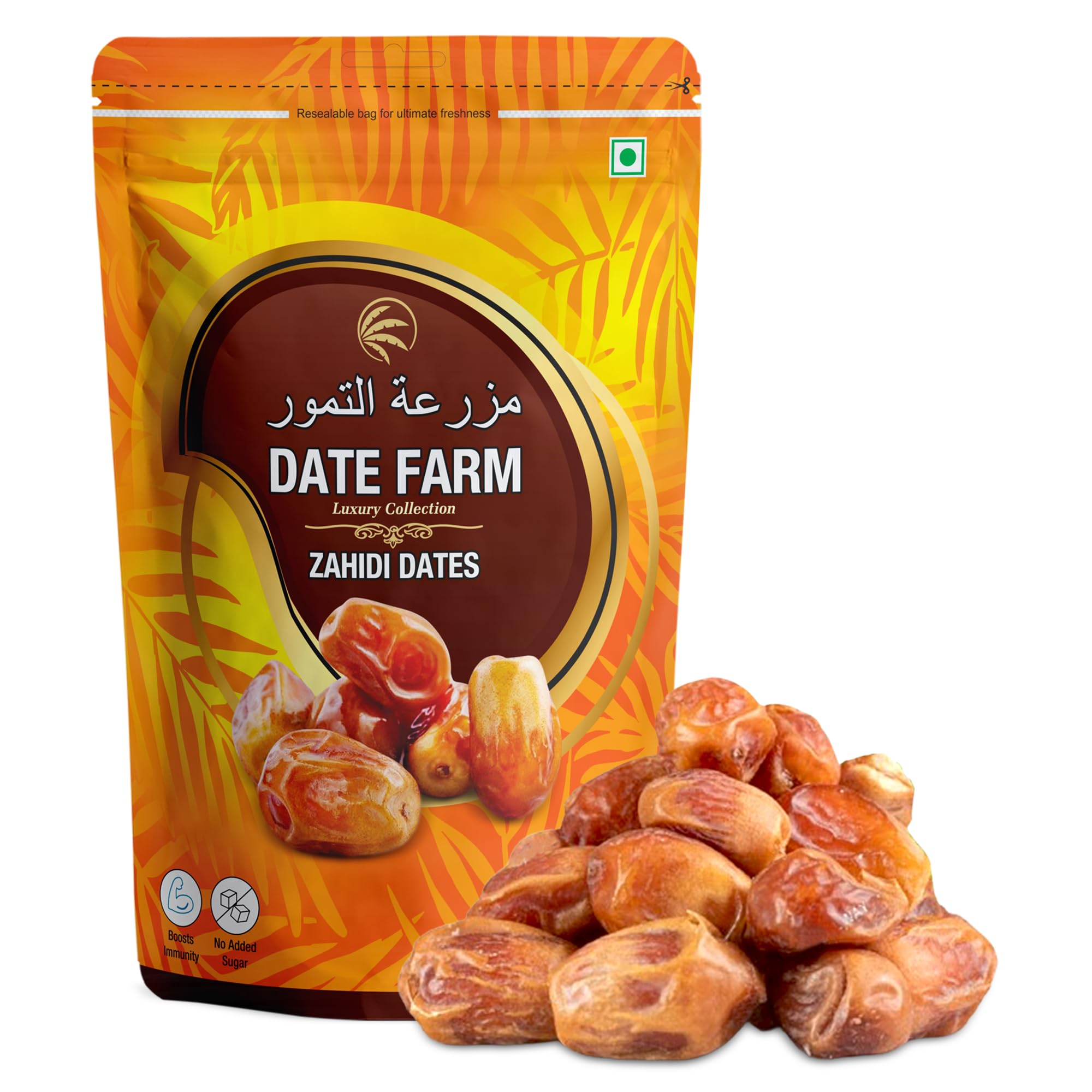 DATE FARM Zahidi Dates Luxury Wet Fresh Dates, 100% Natural, Boosts Immunity, No Added Sugar, Gluten-Free,500 Gram