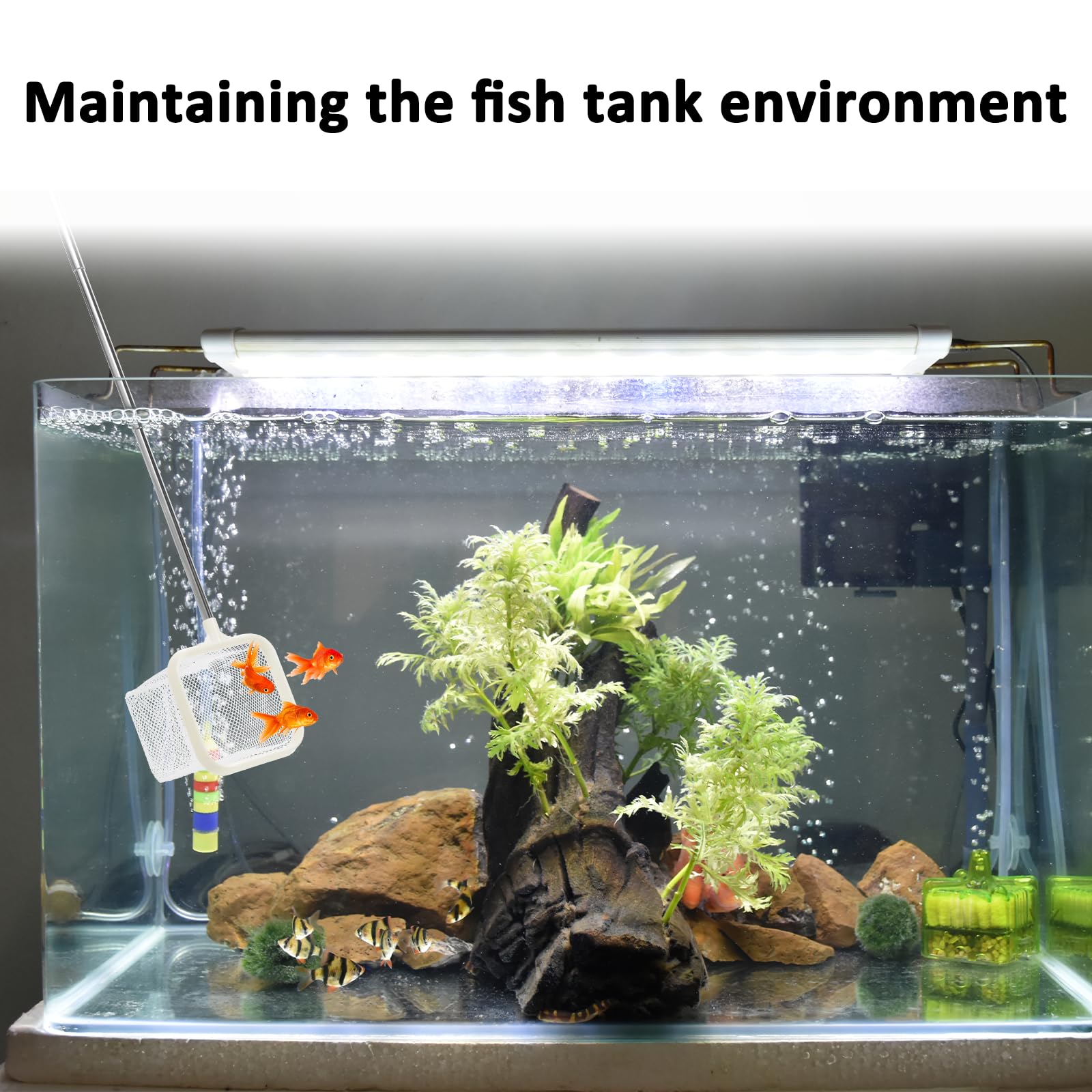 Rete per gamberetti da acquario, 6,5 cm, piccola rete da pesca con manico in acciaio inox, fine rete di nylon, pratico retino per acquari, manico