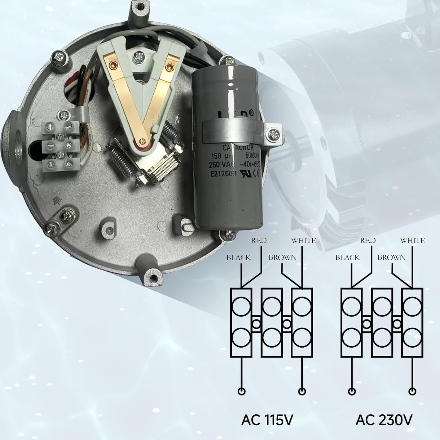 B2855 Motores Bomba Piscina 2HP Fit para Century/Smith con Brida