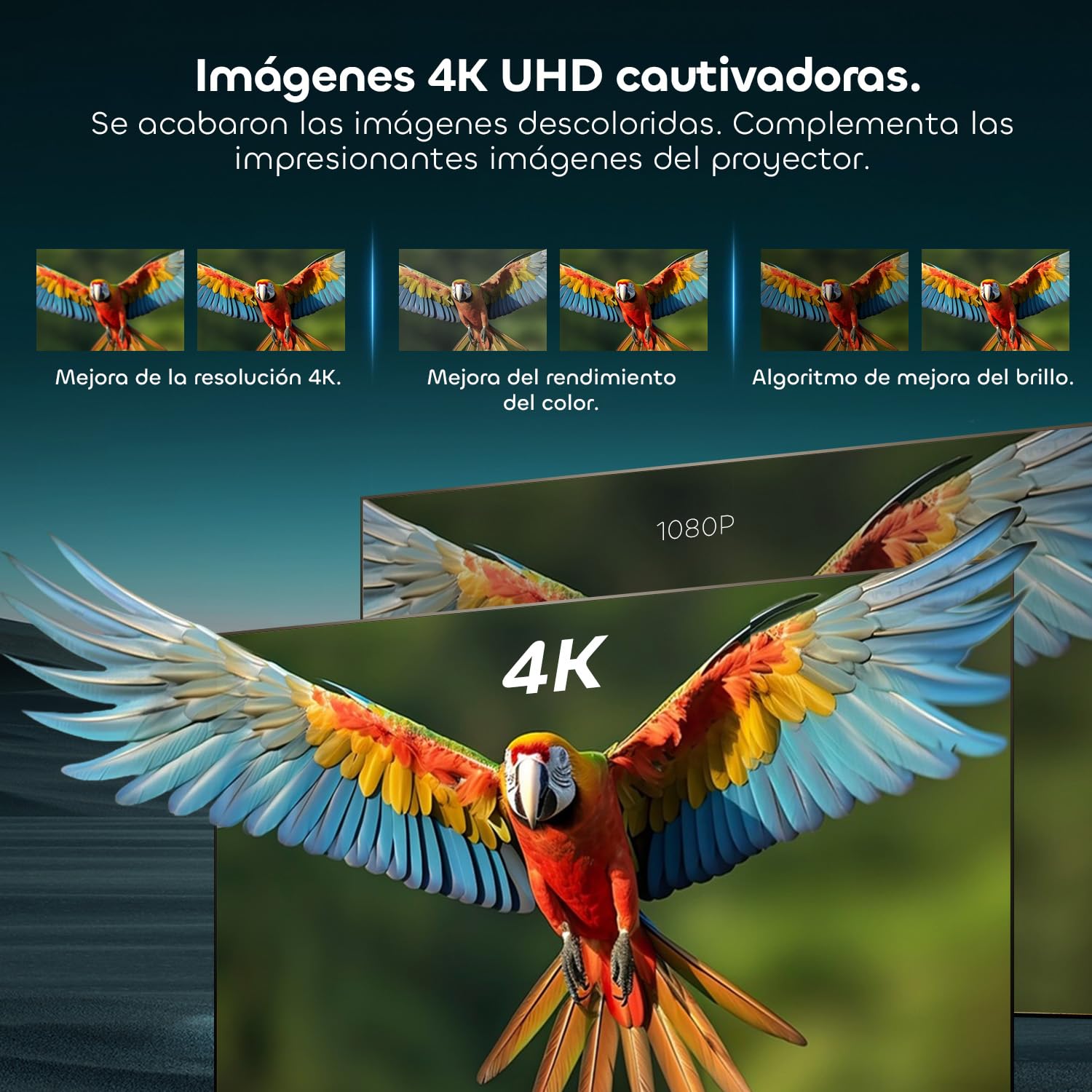 Pantalla ALR CLR Marco Fijo Sin Costuras UST 132 Pulgadas | Para Proyector de Tiro Ultracorto,95% Rechazo de Luz Ambiental,Superficie Lenticular, 4K/8K UHD,Montaje en Pared,Cine en Casa