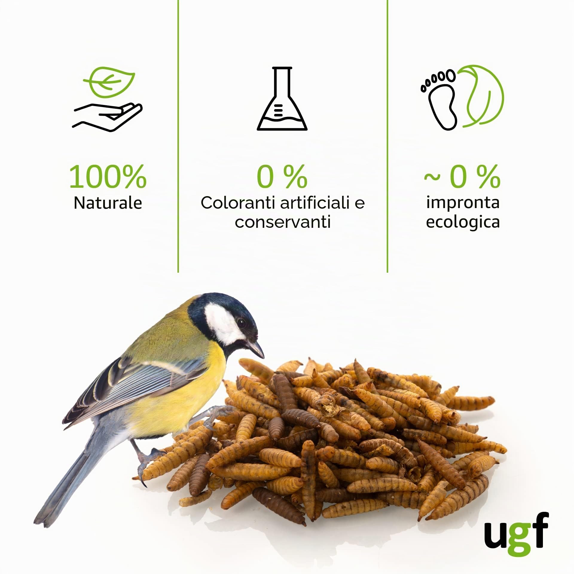 UGF - Larve di mosca soldato essiccate - 75 g in un secchio da 500 ml, Hermetia (simili ai vermi della farina), cibo per uccelli selvatici tutto l'anno, cibo per ricci, quaglie, criceti, pesci