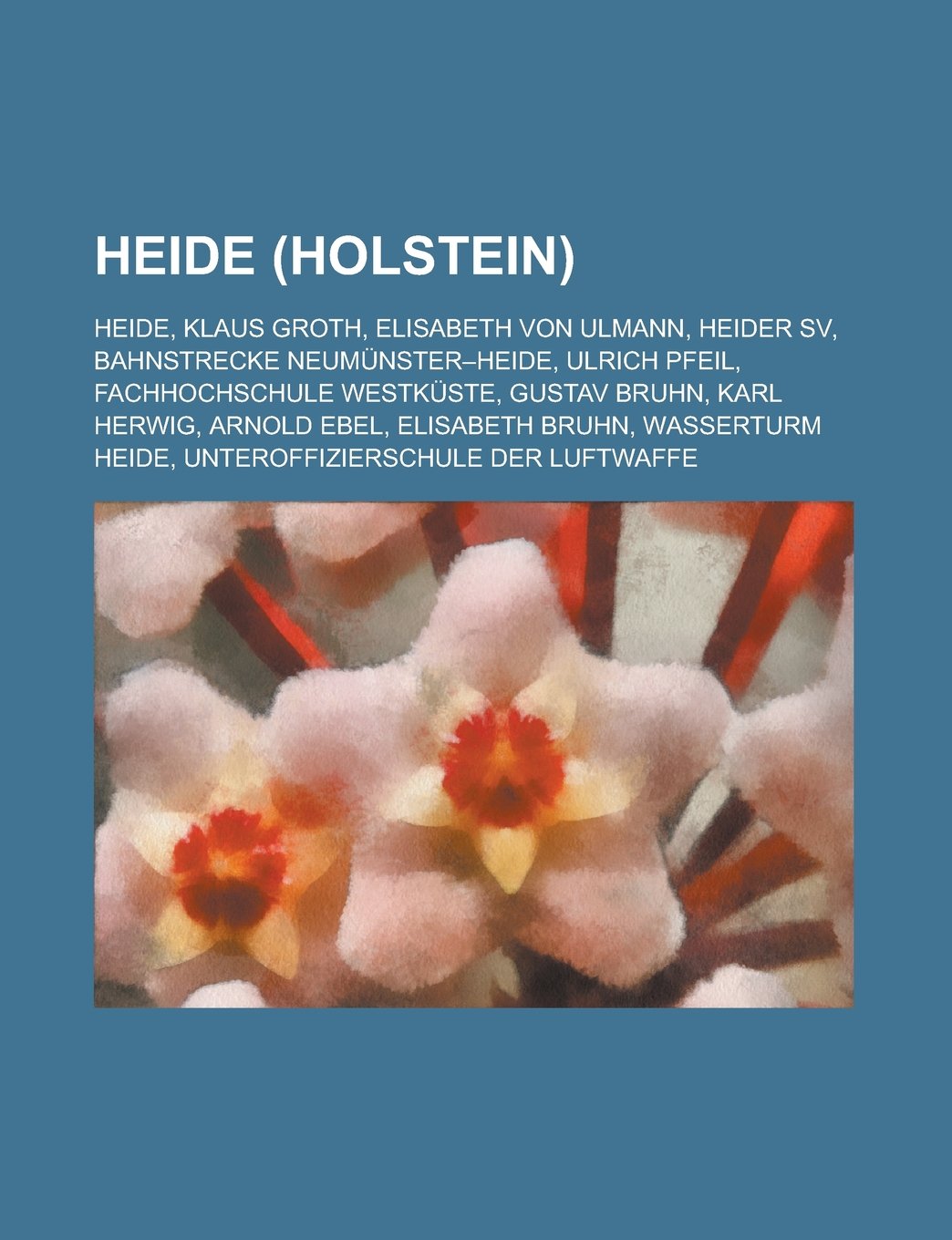 Heide (Holstein): Heide, Klaus Groth, Elisabeth Von Ulmann, Heider Sv, Bahnstrecke Neumunster-Heide, Ulrich Pfeil, Fachhochschule Westku