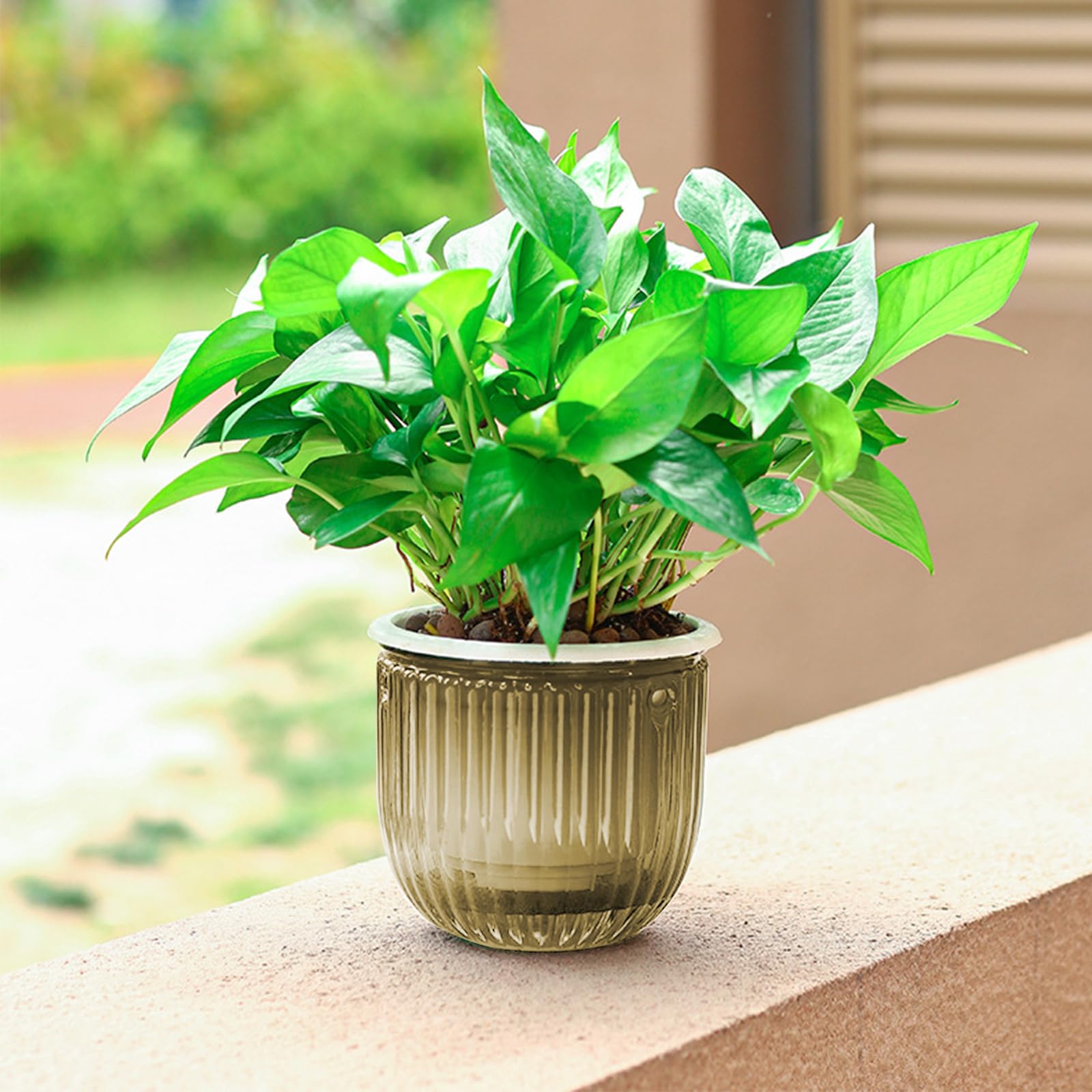 hifrom Vasi per fiori da appendere, per esterni, con catena, in cocco, grande volume (set da 2 pezzi, grigio trasparente, 16,5 cm)