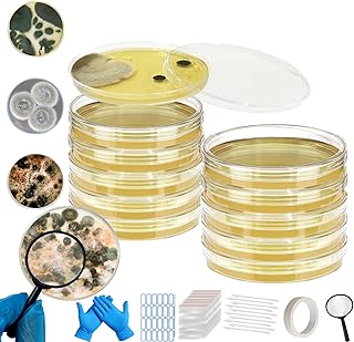 Mold Test Kit for Home,Mold Test Kit with 10 Indoor Mold air Test, Mold Detector for Home,Rapid Lab-Accurate Detection for Air & Surface Mold in Basements, Bathrooms & HVAC Systems