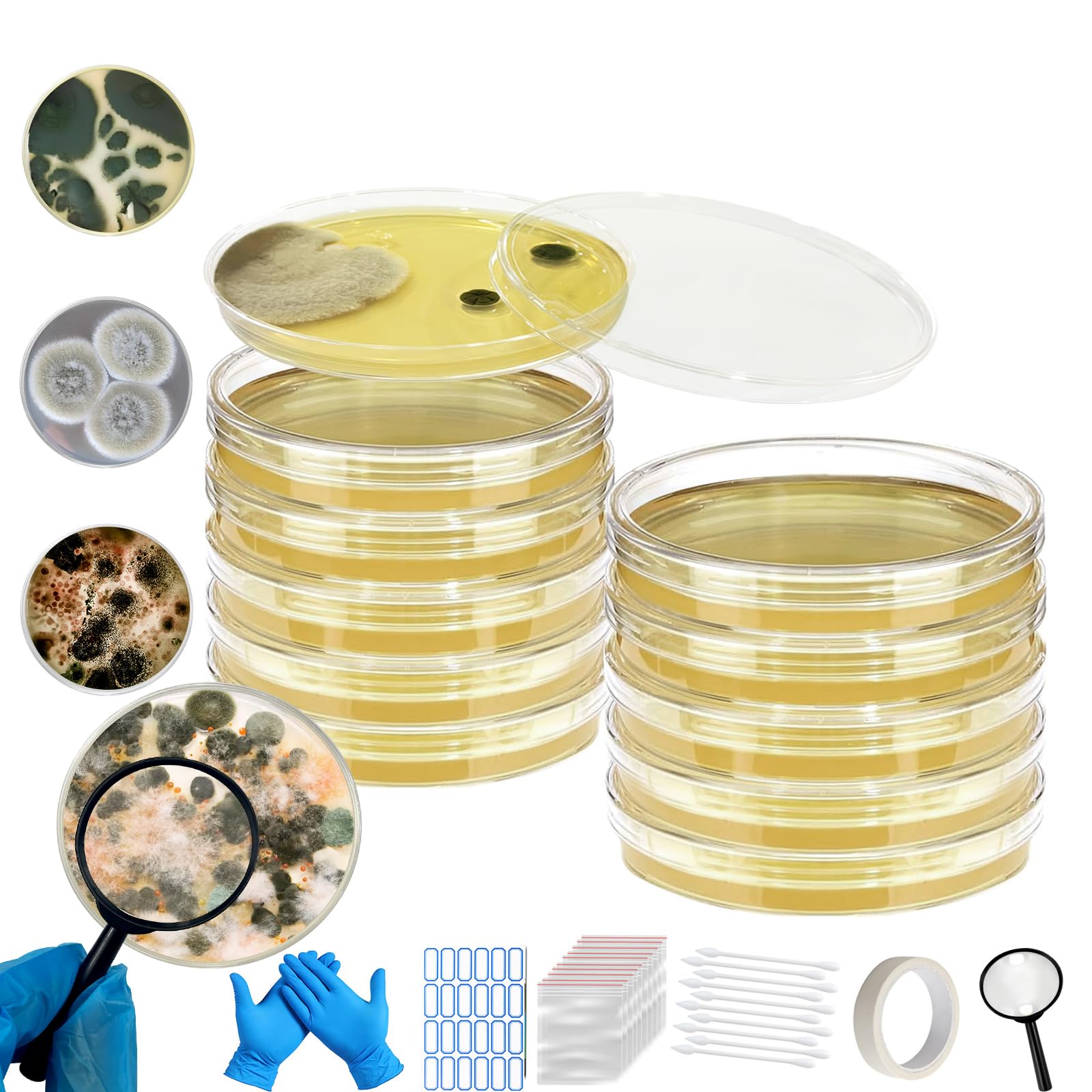 Mold Test Kit for Home,Mold Test Kit with 10 Indoor Mold air Test, Mold Detector for Home,Rapid Lab-Accurate Detection for Air & Surface Mold in Basements, Bathrooms & HVAC Systems