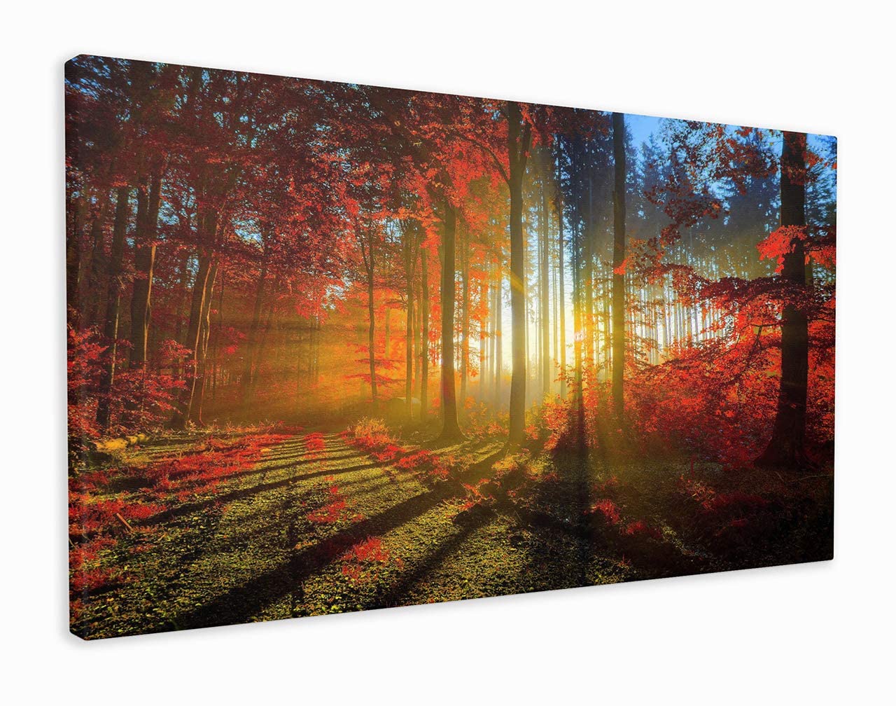 M2M Prints  Beautiful   Canvas  Art Sunset Sunrise Red Forest Autum Day Picture For Modern Home Living Room (60x36 Inch)