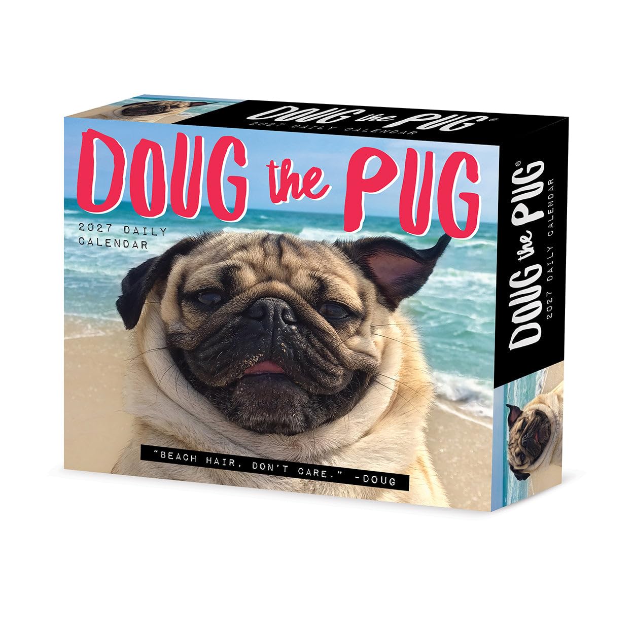 Doug the Pug 2027 Box