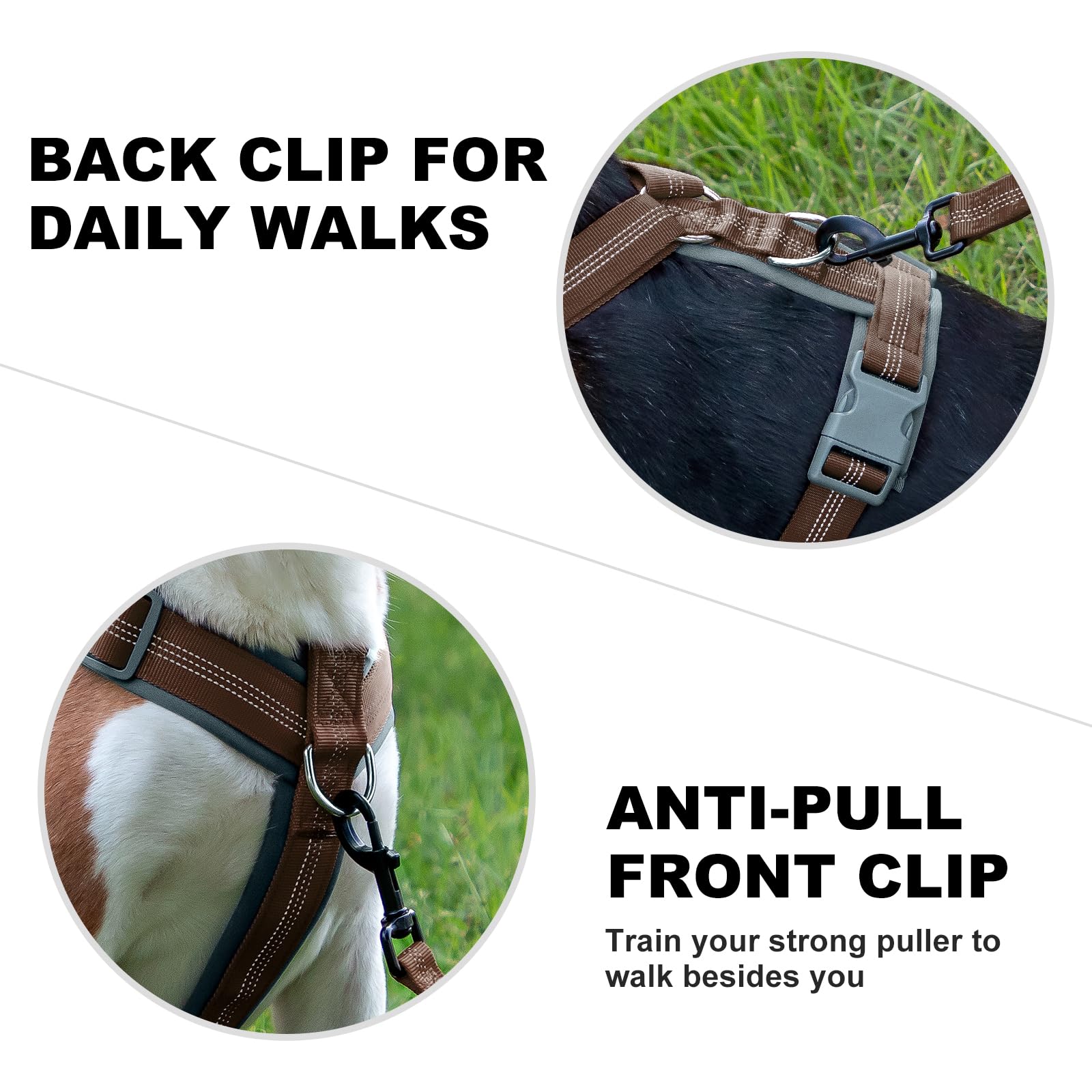 Plutus Pet No Pull Dog Harness, Adjustable Reflective and Soft Padded, Heavy Duty Harness for Small Medium, Large Dogs(Chocolate, L) - Image 4