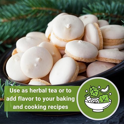 Miniatura 5 de Sow Right Seeds - Semilla de anís para plantar - Hierba culinaria aromática para plantar tu jardín de hierbas caseras - Interior o exterior - Planta