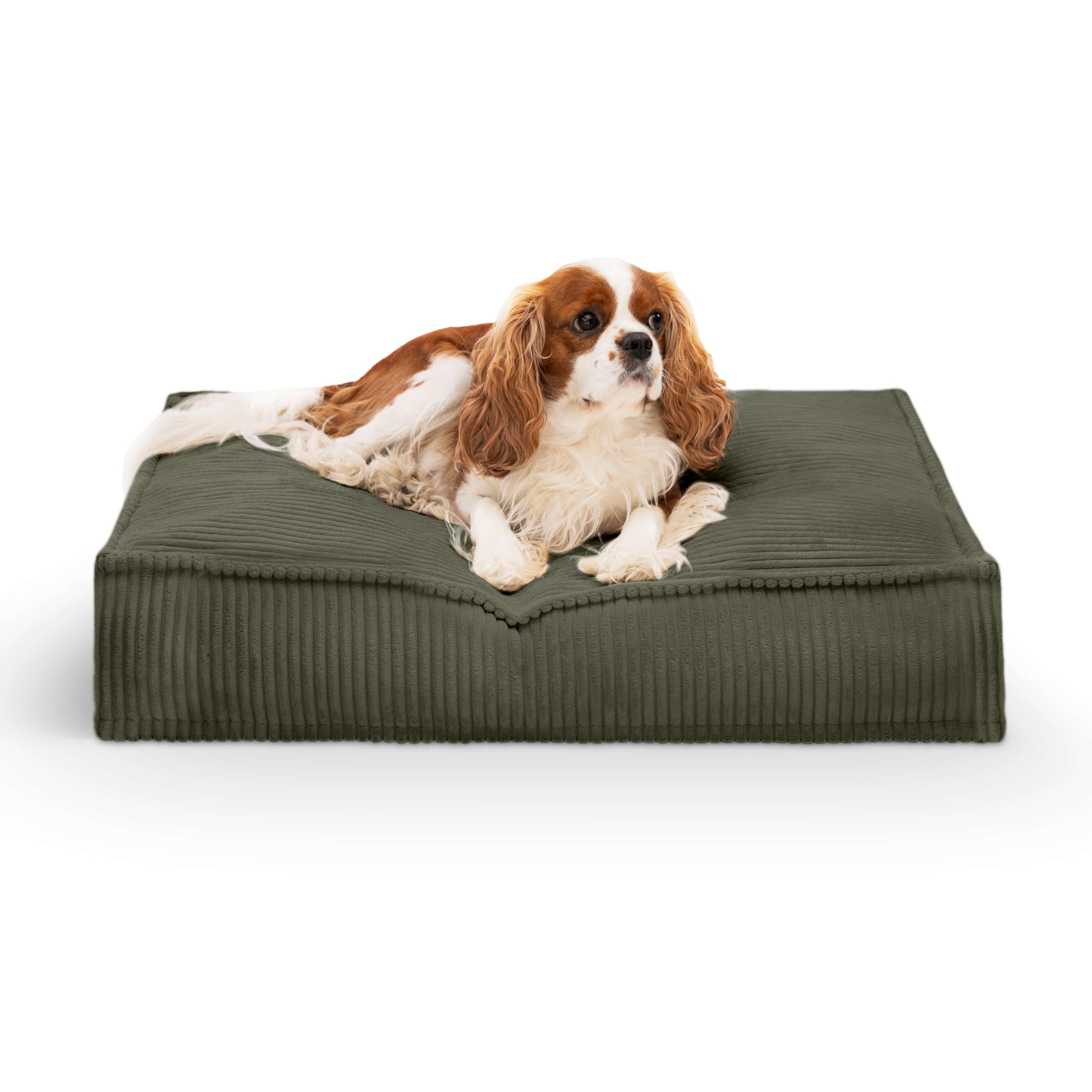 BarksBar Orthopädisches Hundebett – Mit Memory-Schaum, Weicher Schlafplatz (Größe S, 66x50 Cm, Grau)