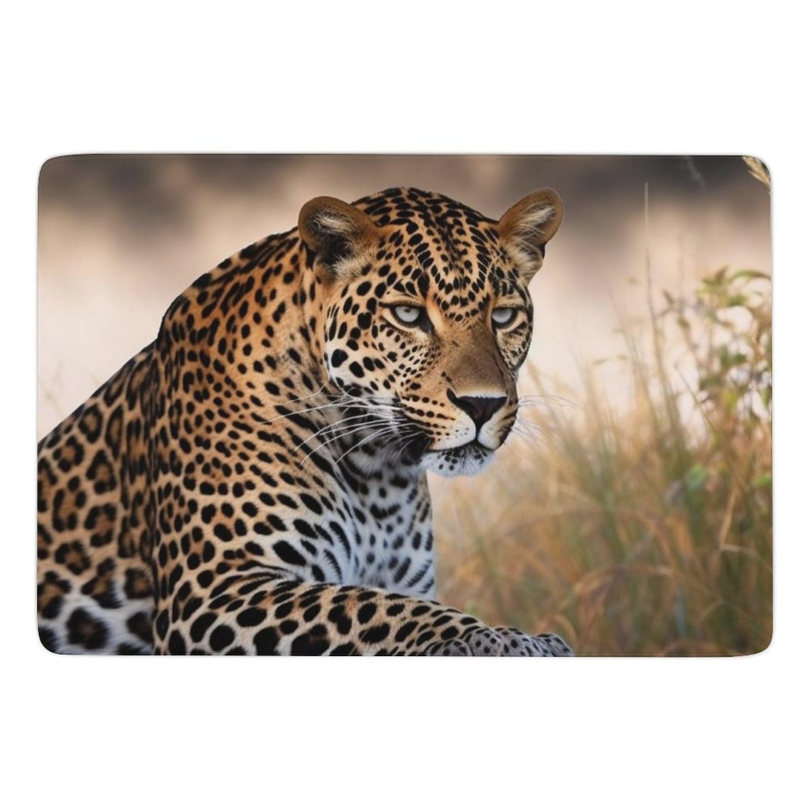 Tapis de salle de bain antidérapant grand format et absorbant