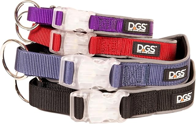 Foto 4 de 4 de Dog Gone Smart Pet Products Collar de Perro Cometa Recargable con luz LED, Morado, Mediano