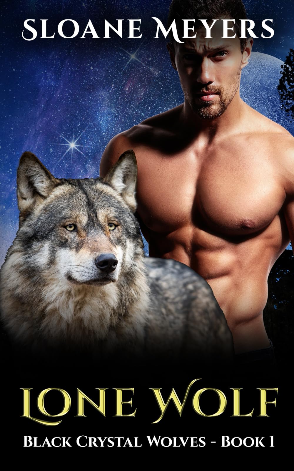 Lone Wolf: A Paranormal Wolf Shifter Romance (Black Crystal Wolf Shifters)