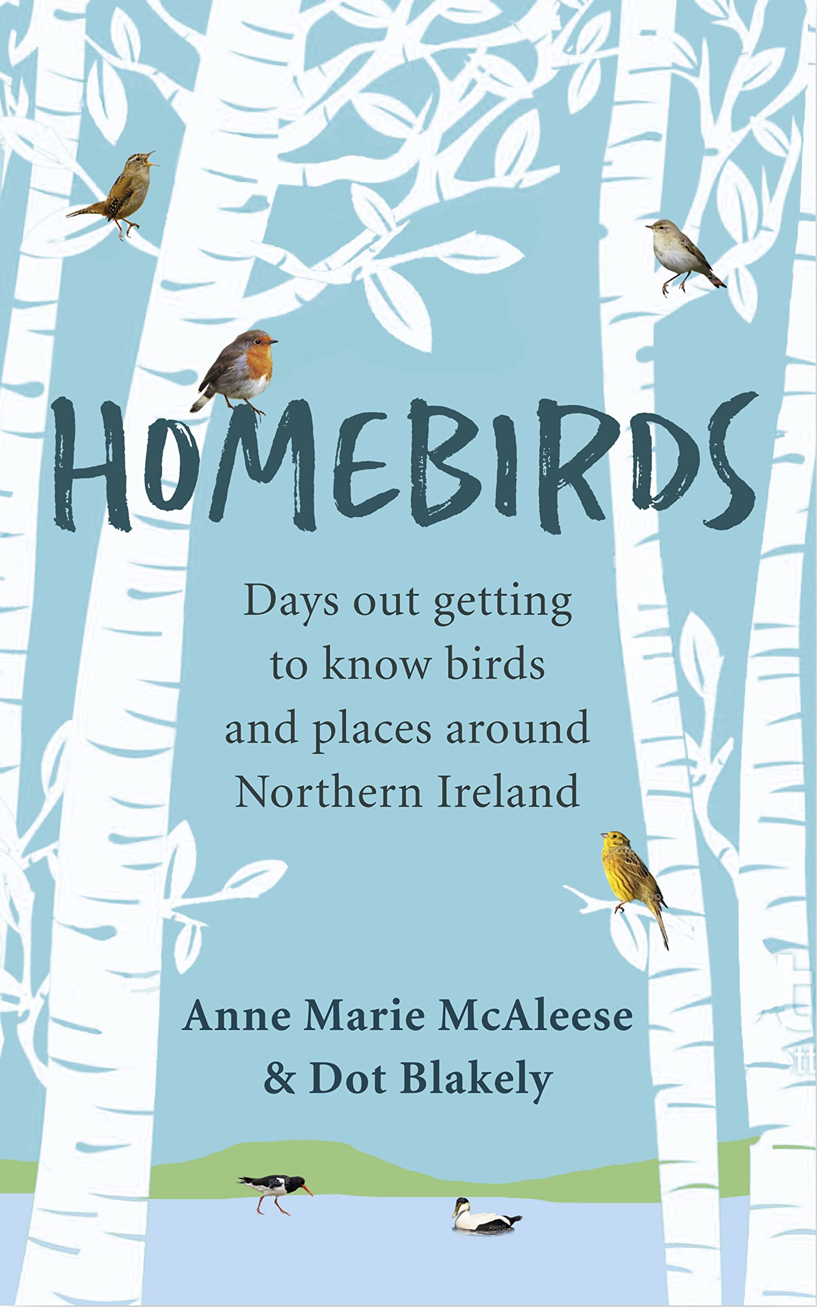 Homebirds: Days out getting to know birds and places around Northern Ireland: Days out Getting to Know the Birds of Northern Ireland
