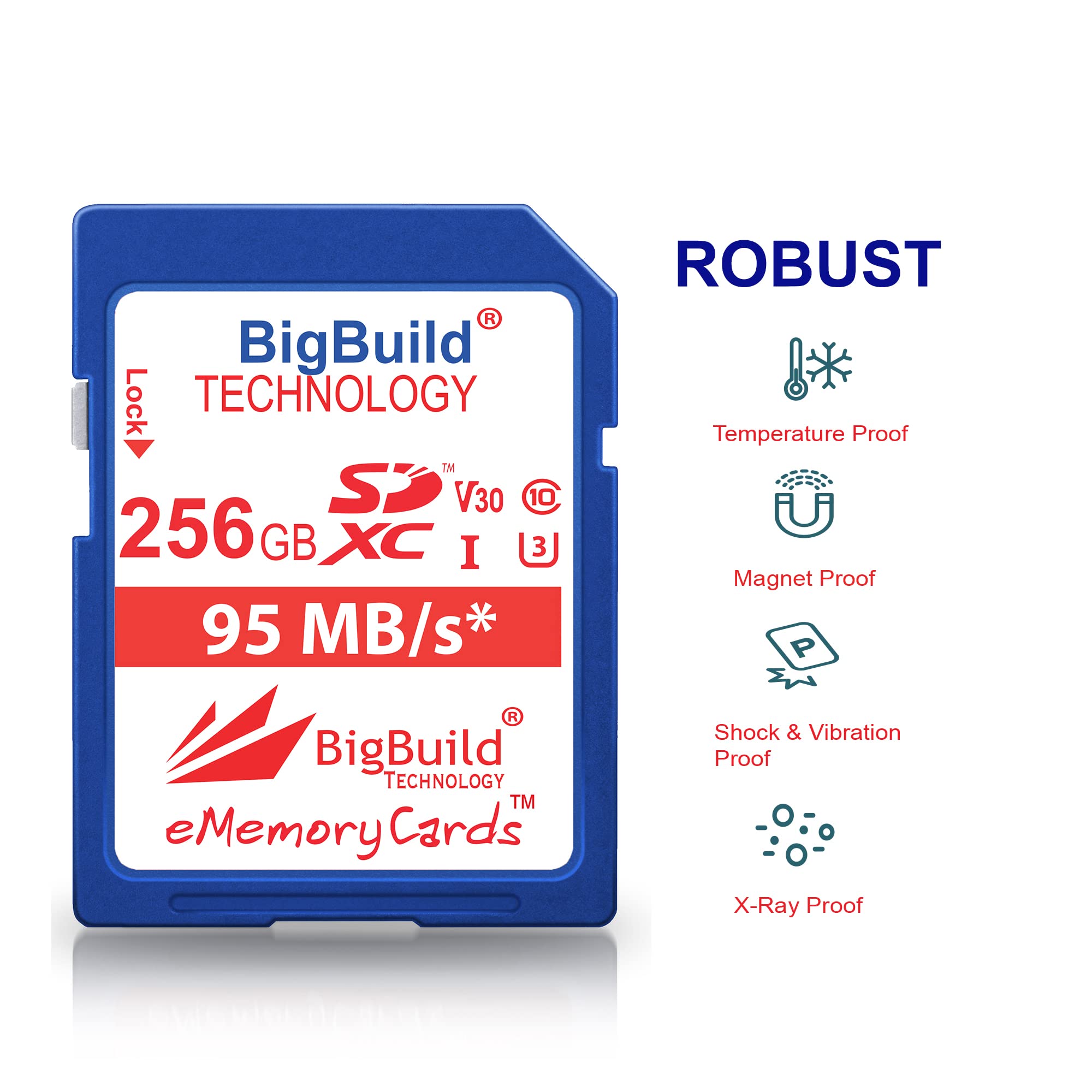 Amazon.com: BigBuild Technology 256GB U3 SDXC Memory Card for