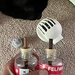 Review Image by Lara Whitmore Lara Whitmore